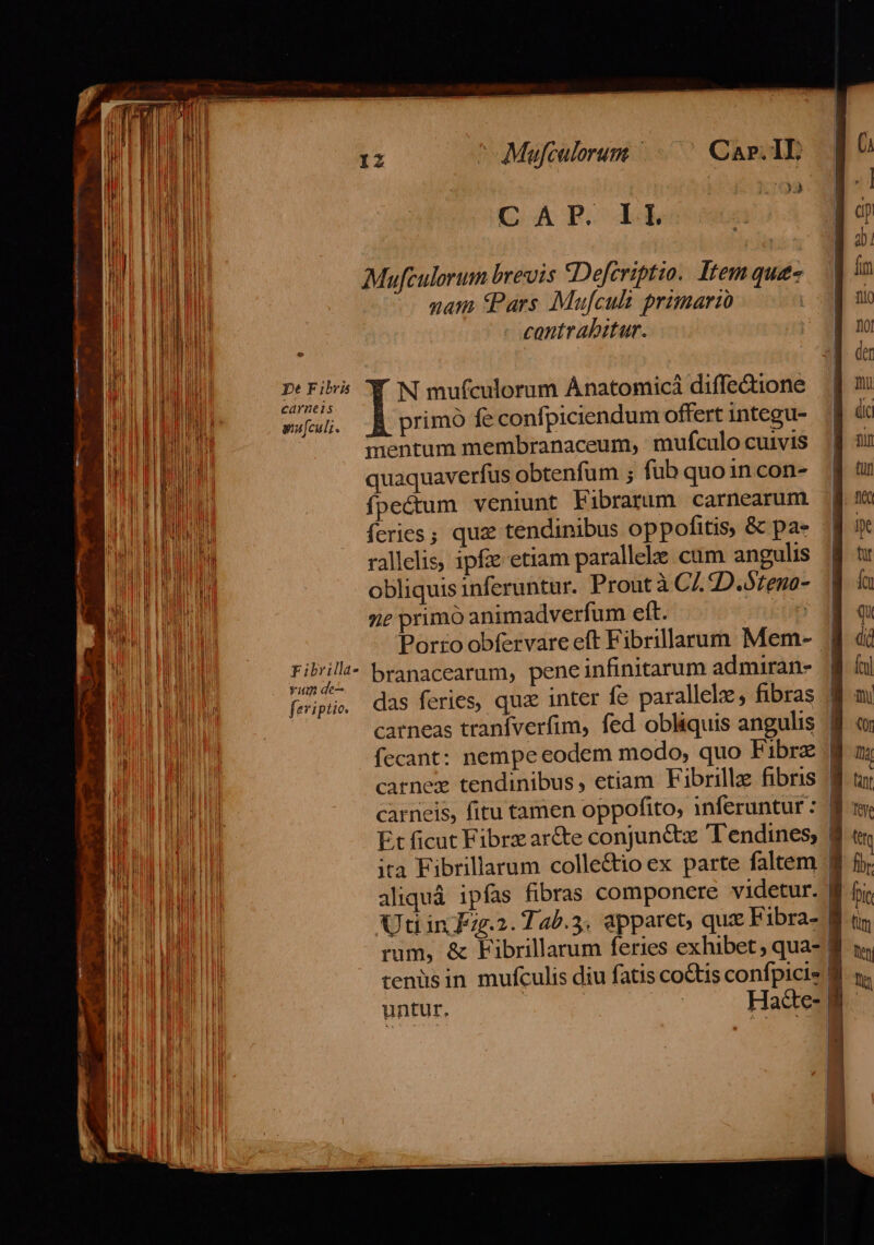 T A CUN P. X Eh i1 ] o0) MN bis a | ^: | li M Mufculorum brevis Deferiptio. Itemque — | fim HEEL nam (Pars Mufcult primario | f ui | I contrabitar. | i i IET i à ds VU i S N mufculorum Anatomicà diffe&amp;ione ] m WALNUT pufculi. primo fe confpiciendum offert integu- || d ! mentum membranaceum, mufculocuivis 8 2i quaquaverfus obtenfum ; füubquoincon- f t fpe&amp;tum veniunt Fibranum carnearum feries; quz tendinibus oppofitis, &amp; pae ipe rallelis, ipfe etiam parallele cum angulis d tr PUE LUNAR obliquis inferuntur. Prout à CZ. 2D.Steno- Í v MN ne primo animadverfum eft. | qu Wee M Porro obfervare eft Fibrillauum Mem- i di B ! ji ju dou ur branacearum, pene infinitarum admiran- B /al ELE feipue das feries, qux inter fe parallele, fibras M a LH DUI carneas tranfverfim, fed obliquis angulis B NE Hd fecant: nempe eodem modo, quo Fibrz B o MI LB carnex tendinibus, etiam Fibrille fibris 8 tuj OR TEE carneis, fitu tamen oppofito, inferuntur : M x BU LP Et ficut Fibrz ar&amp;e conjun&amp;tz Tendines, 8 tr A PLI ita Fibrillarum colle&amp;tio ex parte faltem B fi; E UU aliquá ipfas fibras componere videtur. En | D TN UO Uti in Jz.2. 145.5. apparet, quz Fibra- B tn I | Wi rum, &amp; Fibrillarum feries exhibet ; qua- 1 | N m RE tenüsin mufculis diu fatis coGtis confpicis M. n. dM MU untur. | Had&amp;e- d