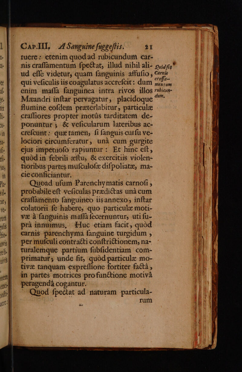 tuere : etenim quod ad rübicundum car- nis craffamentum fpe&amp;at, illud nihil ali- o//45,* ud effe videtur, quam fanguinis affufio , Cava qui veficulis iis coagulatus acctefcit: dum iin enim mafílà fanguinea intra rivos illos rwbicw- Msandri inftar pervagatur, placidoque ^'^ flumine eofdem praterlabitur , particule craffiores propter motüs tarditatem de- ponuntur; &amp; veficularum lateribus ac- crefcunt: que tamen, fi fanguis curfu ve- lociori circumferatur, unà cum gurgite ejus imipetiofo rapiuntur : Et hinc eft, quód 1n febrili ftu, &amp; exercitiis violen- tioribus partes mufculofz difpoliatz, ma- cie conficiantur. Quoad ufum Parenchy matis carnofi , probabile eft veficulas przdictas unà cum craffamento fanguineo iisannexo; inftar colatorn fe habere, quo particulz moti- v&amp; à fanguinis maffa fecernuntur, uti fu- prà inmummus, uc etiam facit, quód carnis parénchyma fanguine turgidum ; per mufculi contracti conftrictionem, na- turalémque partium fübfidentiam. com- primatur, unde fit, quód particulz mo- tiv tanquam expreffione fortiter factà , in partes motrices profunctione motivà peragendá cogantur. - Quod fpectat ad naturam particula- | ram dad