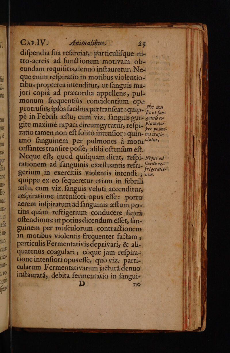 Car.lV. dInimalibusi i$ difpendia fua refarciat;: particulifi que nis tro-aereis. ad fun&amp;tionem-motivam ob- eundam requifitis;denuo inftauretur; Nes que enim refpiratio in motibus violentio- ribus propterea intenditur; ut fanguis ina- jori copià ad precordia appellens , pul monum frequentiüs concidentium ope protrufus; ipfos facilius pertranfeat : quip- ceffantes tranfire poffe; alibi oftenfuüm eft. quippe ex eo fequeretur. etiam in febrili xítu, cum viz. fanguis veluti accenditur; aerem infpiratum ad fanguinis zftum.po- tius quàm. refrigerium conducere fuprà: oftendimus: ut potius dicendum effct, fan- guinem per mufculorum contractionem in motibus violentis frequenter fa&amp;tam , particulis Fermentativis deprivari; &amp; ali- quatenus coagulari; eoque jam refpira« tione intenfiori opuseffc; : quo viz. parti- cularum Fermentativarum jacturá denuo inftauratà;. debita fermentatio in fangui- D ne