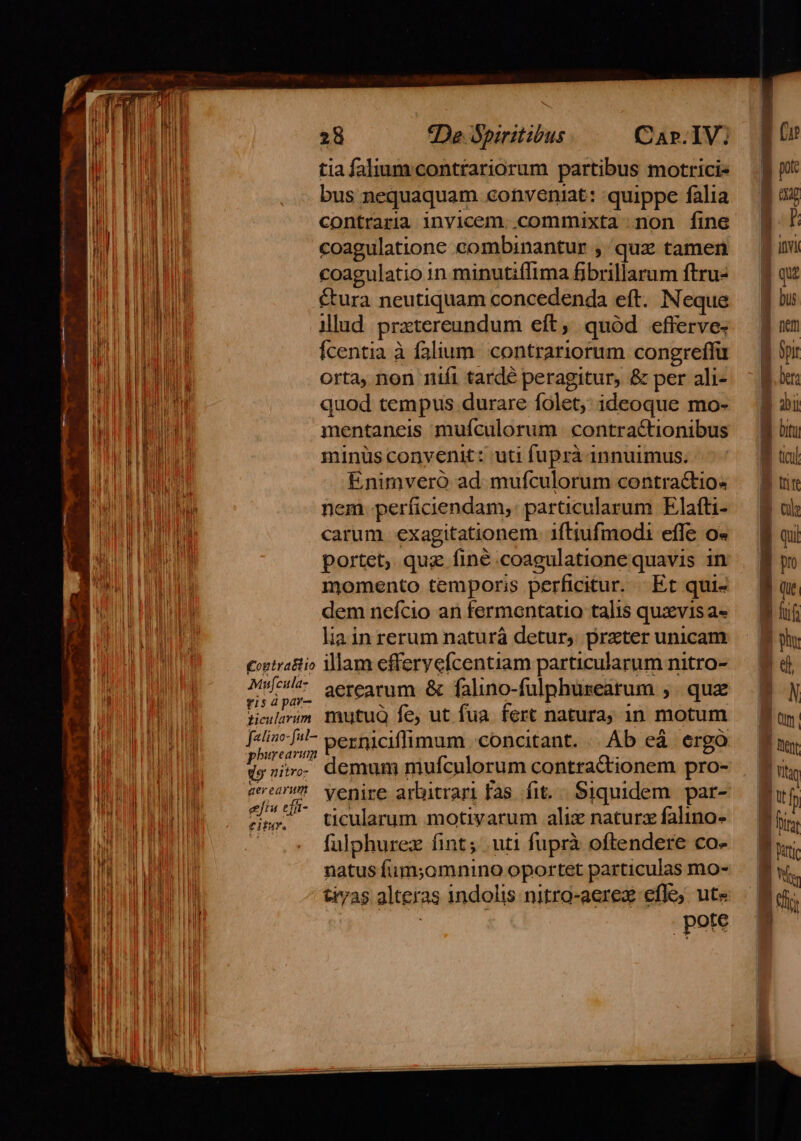 | tia falium contrariorum partibus motrici- UN bus nequaquam conveniat: quippe falia FOU LUE contraria invicem..commixta non fine a coagulatione combinantur ,. quz tamen LT, coagulatio in minutiffima fibrillarum ftru- | M &amp;ura neutiquam concedenda eft. Neque l illud praetereundum eft, quód efferve: | Ícentia à falium. contrariorum congreffü T DD orta, non niíi tardé peragitur, &amp; per ali- BULL UD quod tempus durare folet; ideoque mo- ATL IE SI mentaneis mufculorum contractionibus | dd minüs convenit: uti fuprá innuimus. AURI Enimvero ad mufculorum contractio« MUERE nem. perficiendam,: particularum. Elafti- WM carum exagitationem. 1ftiufmodi effe o» portet, quz finé .coagulatione quavis in momento temporis perficitur. Et qui- dem nefcio an fermontatio talis quzvisa- lia in rerum naturá detur, prater unicam costrattio illam efferyefcentiam particularum nitro- UP Td aerearum &amp; falino-fulphuseatum ;. qux HERE giculirim mutuQ fe, ut fua fert natura; in motum TED [sli [^ besniciflimum concitant. .. Ab eà. ergó Mod doni. demum mufculorum contractionem pro- B LEO Eres venire arbitrari Fas. fit... Siquidem. par- Pom . $57 tcularum motivarum alix naturz falino- NA po AR falphurez fint; .uti fuprà oftendere co- BuU natus fum;omnino oportet particulas mo- Ta d tivas alteras indolis nitro-aerex eflo; ute gy [ pote
