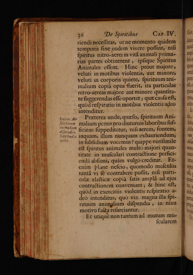 riendi neceffitas, ut ne momento quidem temporis fine eodem vivere poflint, nifi fpiritus nitro-aereiin vità animali prima- rias partes obtinerent , ipfique Spiritus Animales effent. Hinc prout majore; veluti in motibus violentis, aut minore; veluti in corporis quiete, fpirituum ani- .Jmalium copiá opus fuerit, 1ta particulas nitro-aereas majore aut minore quantita- te fuggerendas effe oportet ; quz caufa eft, quód refpiratio in motibus violentis adeo intenditur. Unos 4. Preterea unde, quzfo; fpirituum Ani- fpiritum. alium penus pro diuturnis laboribus fuf- animalium Milius ficiens fuppeditetur, nifi aerem, fontem; fspplendis inquam, illum nunquam exhauriendum, ^.. imfubfidium vocemus? quippe verifimile eft fpiritus animales multo majori quan- titate in mufculari contractione perfici- endá abfümi, quàm vulgó creditur. | Et- enim plane nefcio, quomodo mufculus tantá vi fe contrahere poflit, nifi parti- cule elaftice copiá fatis amplà ad ejus contractionem conveniant; &amp; hinc eft, quód in exercitiis violentis refpiratio a- rituum animalium difpendia , in-nixu motivo fa&amp;a refarciantur. | Et utiqué nontantum ad motum mu» Ícularem (culo. imp Cera In Hj D Kper eff |