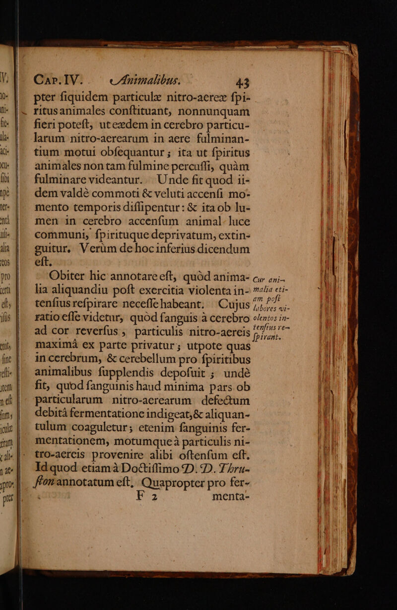 —-—- pter fiquidem particulz nitro-acrezx fpi- ritusanimales conftituant, nonnunquam fieri poteft, utezdem in cerebro particu- larum nitro-aerearum in aere fülminan- tium motui obfequantur; ita ut fpiritus animales non tam fulmine percuffi, quàm fulminare videantur. Unde fit quod ii- dem valdé commoti &amp; veluti accenfi mo- mento temporis diflipentur: &amp; itaob lu- men in cerebro accenfum animal. luce communi, fpirituque deprivatum, extin- guitur, Verüm de hocinferius dicendum eft. Obiter hic annotareeft, quód anima- c,. ;,;. lia aliquandiu poft exercitia violenta in- 7«/a eri- tenfiusrefpirare neceffehabeant. | Cujus bi is ratio efle videtur, quód fanguis à cerebro eros in- ad cor reverfus , particulis nitro-aereis frsulin maximái ex parte privatur; utpote quas in cerebrum, &amp; cerebellum pro fpiritibus animalibus fupplendis depofuit ; undé fit, quod fanguinis haud minima pars ob particularum nitro-aerearum. defectum debità fermentationc indigeat; &amp; aliquan- tulum coaguletur; etenim fanguinis fer- mentationem, motumqueà particulis ni- tro-aercis provenire alibi oftenfum eft. Idquod etiamà Do&amp;iffimo 2D. D. 7/ra- fion annotatum eft, Quapropter pro fer- Á 2 menta-