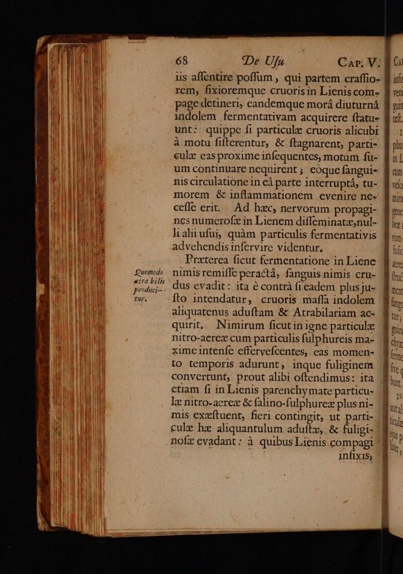 tu EP EI Quomodo «tra bilis p*oduci- tu. üs aflentire poflum , qui partem craffio- rem, fixioremque cruorisin Lienis com- page detineri, candemque morá diuturná indolem fermentativam acquirere ftatus unt: quippe fi particule cruoris alicubi culz eas proxime infequentes, motum fü- nis circulatione in eà parte interruptá, tu- morem &amp; inflammationem evenire ne- nes numerofz in Lienem diffeminatz,nul- advehendis infervire videntur, Frxterea ficut fermentatione in Liene nimis remiffe peractá, fanguis nimis cru- dus evadit: ita é contrà fi eadem plusju- fto 1ntendatur, cruoris maffa indolem aliquatenus aduftam &amp; Atrabilariam ac- quirit,; Nimirum ficut in igne particule nitro-acrez cum particulis fulphureis ma- xime intenfe effervefcentes, eas momen- to temporis adurunt, inque fuliginem convertunt, prout alibi oftendimus: ita ctiam fi in Lienis parenchy mate particu- lz nitro-aerex &amp; falino-fulphurex plus ni- mis exxítuent, fieri contingit, ut parti- cule hz aliquantulum aduftz, &amp; fuligi- | infixiS , D | 8 Ó | ! ] | |