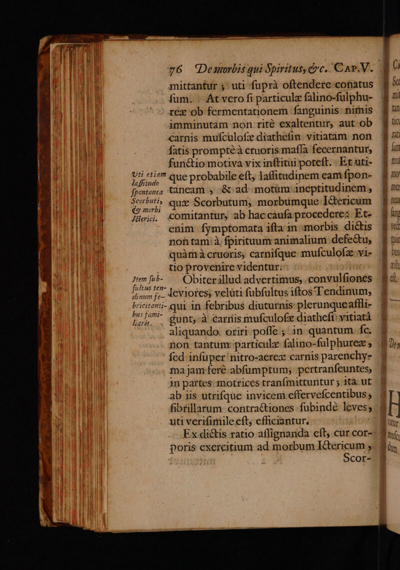 mittantur 5 uti fuprà oftendere:conatus dU i . fum. -. At vero fi particulz falino-fulphu- Wi FREIE — 7 5 grex ob fermentationem fanguinis. nirnis LIE ERU UM imminutàm non rite exaltentur, aut-ob Toto d carnis mufculofx diathefin. vitiatam. non MI LU] fatis promptéà cruoris mafla fecernantur, bu BOTHE functio motiva vix inftitui poteft. - Et uti- M TOLL 95r que probabile eft; laffitidinem eam fpon- PRELATI fpmtea taneam , :&amp; ad motüm: aneptitudinem s POMA A d JR quz: Scorbutum, morbumque J&amp;tericum WA fei; «omitantur, ab hac caufa procedere: Et. a — - enim fymptomata ifta in morbis dictis e noh tam:à fpirituum animalium defectu, MENU, quàm à cruoris, carnifque- mufculofz:vi- NUETR tio provenire videntur: ftn VAM E Wo Obiterllud advertimus, convulfiones FOE LU TRTATZ leviores; velüti fubfultus iftos 'T'endinum; a TELAM Priesteni- qui in febribus diuturnis: plerunqueaflli- 52147 Gunt,-à carriis mufculofz diatheft: vitiatà TOES ^. aliquando. oriri poffe ; in. quantum. fc. NP Ml -. fion tantum: particule falino-fulphurez s BETA UN fed infuper nitro-aerex carnis parenchye WHEN .. majam.feré abfümptum; pertranfeuntes, IE LUPT UM in partes: motrices tranfmittuntur 5 tà. ut B LOREM ab iis utrifque invicem effervefcentibus ; E Uh HERUM fibtillarum- contractiones fubinde leves; Tb IE E uti verifimile eft; efficiantur. How au AM Ex di&amp;is ratio aflignanda eft cur cor- LIEU poris exercitium ad morbum IGericum , tod | a . tX Scor- MESES em ER Tam e