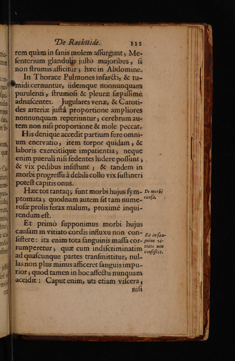 | trip» | itum | dm|L In Thorace Pulmonesinfar&amp;ti, &amp; tu- JM s Pmidi cernuntur, iidemque nonnunquam: M ii. || purulenti ; ftrumoft &amp; pleurz fzpitlime LU ijp| adnaícentes. Jugulares venz, &amp; Carot- AUTO wu || des arteriz juftá proportione ampliores m àp|| nonnunquam reperiuntur ; cerebrum au- I xf,]. tem non nmifr proportione &amp; mole peccat. BEI |. Hisdeniqueaccedit partium fere omni- EX IM mj| wm enervatio, 1tem torpor quidam , &amp; EM qz| laboris exercitiique impatientia; neque i TUM || enim pueruli nifi fedentes ludere poffunt ; [| (Qu ] € vix pedibus infiftunt ; &amp; tandem in | ioj|| zaorbi progreffu à debili collo vix fuftineri gm. poteft capitis onus. 5b HU rn j wa] Hxzctottantag; funt morbi hujus fym- es Li | al], Ptomata; quodnam autem fit tam nume- MS | «|. Fofae prolis ferax malum, proximé inqui- | S rendum eft. : ; LUN ting Et primó fupponimus morbi hujus M 4|, caufam m vitiato cordis influxu non con- z; v, i lol liftere: ita enim tota fanguinis mafla cor- iin s l jig], Fumperetur; quz cum indifcriminatim 77577 I | ad quafcunque partes tranfmittitur, nul- M ah lasnon plus minus afficeret fanguisimpu- i 4 j|, Fior ; quod tamen in hocaffe&amp;tu nunquam dn E all accidit ::. Caput enim; uti ctiam vifcera ; - ADU 1 nif HUE (De Rachitide. III I 1 M fenterium glandulis jufto-: majoribus, fi | Il