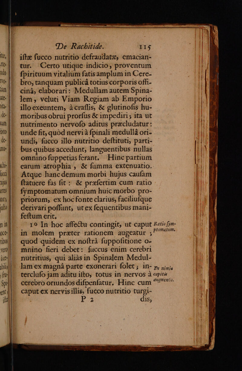 iftze fucco nutritio defraudatz, emacian- tur. Certo utique indicio, proventum fpirituum vitaltum fatisamplum in Cere- bro, tanquam publicá totius corporis ofhi- ciná; elaborari: Medullam autem Spina- lem, veluti Viam Regiam ab Emporio illoexeuntem, àcraffis, &amp; glutinofis hu- moribus obrui prorfus &amp; impediri ; ita ut nutrimento nervofo aditus przcludatur: unde fit; quód nervi à fpinali medullà ori- undi, fucco illo nutritio deftituti, parti- bus quibus accedunt, languentibus nullas omnino füppetiasferant, Hinc partium earum atrophia , &amp; fumma extenuatio.: Atque hanc demum morbi hujus caufam ftatuere fas fit: &amp; preíertim cum ratio fymptomatum omnium huic morbo pro- priorum,. ex hocfonte clarius, faciliufque derivari poflunt, ut ex fequentibus mani- feftum erit, 19 In hoc affe&amp;u contingit; ut caput Ratio fyz- in molem przter rationem augeatur ; m quod quidem ex noftrà fuppofitione o- mnino fieri debet: fuccus enim cerebri nutritius, qui aliàsin Spinalem Medul- lam ex magná parte exonerari folet; in- p, jjj; terclufo jam aditu ifto, totus in nervos à ezite cerebro oriundos difpenfatur. Hinc cum ^9 caput ex nervisillis, fucco nutritio turgi- pa dis;