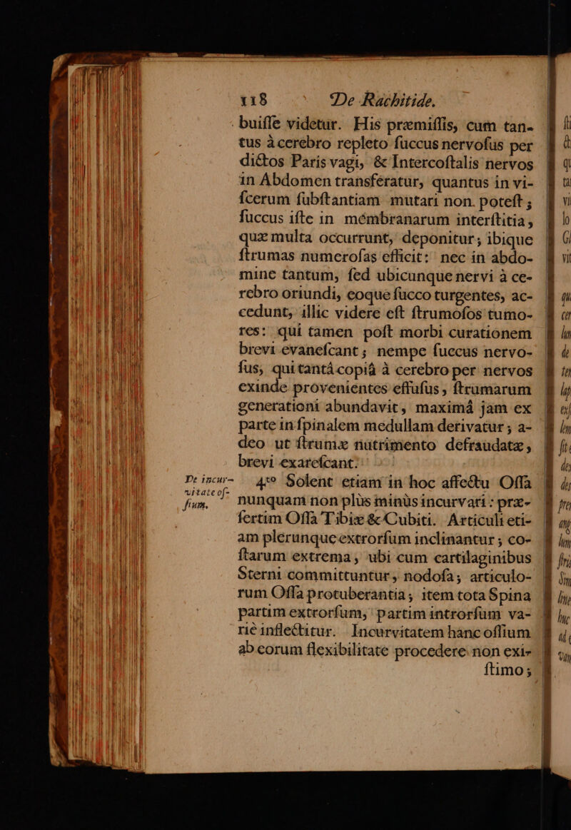 n FI n M | Vr l Bi. | TT b VU ] i ! T3 i ! » WA I l ' | | I Uus  M || T ' d i Y. ui T MAI lu | nis - HI 1] d J I | * Pt 1scur- uitateo[- fum. 118 De Rachitide. tus àcerebro repleto fuccus nervofüs per di&amp;tos París vagi, &amp; Intercoftalis nervos in Abdomen transfératur, quantus in vi- Ícerum fübítantiam mutari non. poteft ; fuccus ifte in mémbranarum interftitia, qua multa occurrunt, deponitur; ibique ftrumas numerofas efficit: nec in abdo- mine tantum, fed ubicunque nervi à ce- rebro oriundi, eoque fucco turgentes, ac- cedunt, illic videre eft ftrumofos tumo- res: qui tamen poft morbi curationem brevi evanefcant ; nempe fuecus nervo- fus, quitantácopiá à cerebro per nervos exinde provenientes effufus , ftrumarum generationt abundavit, maximá jam ex parte in fpinalem medullam derivatur ; a- deo ut ftrum nutrimento defraudatz, brevi exareícant; 4 Solent etiam in hoc affectu Offa nunquam non plus minus incurvari : prx- fertim Offa T'ibiz &amp; Cubiti..| Articuli eti- am plérunqucextrorfum inclinantur ; co- ftarum extrema, ubi cum cartilaginibus 5terni committuntur , nodofa; articulo- rum Offa protuberantia, item tota Spina partim extrorfum, partim introrfum va- rié inflecitur. . Incurvitatem hàncoffium ab corum flexibilitate procedere non exi» | itimo;