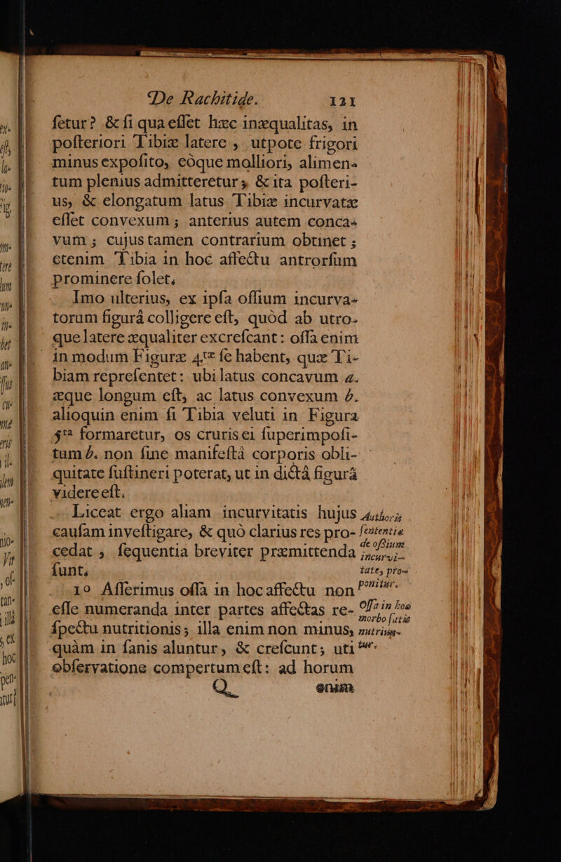 fetur? &amp;fi qua effet hzc 1inzqualitas, in pofteriori Tibiz latere ,' utpote frigori minus expofito, eóque malliori, alimen« tum plenius admitteretur , &amp; ita pofteri- us, &amp; elongatum latus Tibiz incurvatze eflet convexum ; anterius autem conca: vum; cujustamen contrarium obtinet ; etenim Tibia 1n hoc affe&amp;tu antrorfum prominere folet, Imo ulterius, ex 1pfa offium incurva- torum figurá colligere eft; quód ab utro. que latere zqualiter excrefcant : offa enin: inmodum Figurz 4 fe habent, qux Ti- biam reprefentet: ubilatus concavum a. zque longum eíl; ac latus convexum Z. alioquin enim fi Tibia veluti in. Figura 5'* formaretur, os cruris ei fuperimpofi- tum Z. non fine manifeftá corporis obli- quitate füftineri poterat, ut in dictá figurá videre eft, Liceat ergo aliam incurvitatis. hujus 4,5, caufam inveftigare, &amp; quó clarius res pro- Vosra cedat ,. fequentia breviter przmittenda 7/7 íÍunt, fatty pro 19 Afferimus offa in hocaffe&amp;u non ^ efle numeranda inter partes affec&amp;tas re- Wins Ípe&amp;tu nutritionis ; 1lla enim non minus, guis quàm in fanis aluntur, &amp; crefcunt; uti^* obferyvatione compertum cft: ad horum