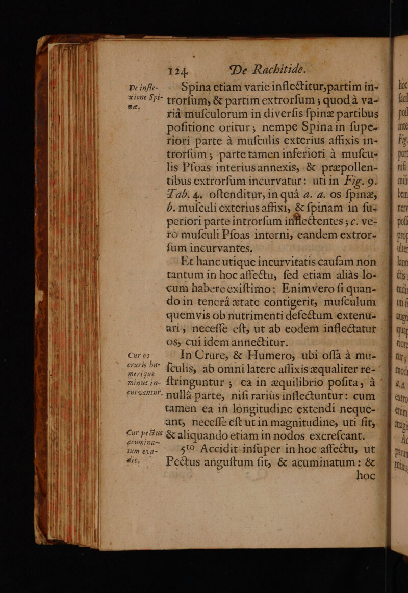 Spina etiam varie inflectitur partim i in- Cur os cruris ba- meridgue 72u5 1n- e€urantaur, rià mufculorum in diverfis fpinz partibus pofitione oritur; nempe 5pinain fupe- riori parte à mufculis exterius affixis 1n- trorfum ; partetamen inferiori à mufcu- lis Pfoas 1nteriusannexis, &amp; przpollen- tibus extrorfum incurvatur: utiin Pe. 9. T ab. 4. oltenditur, in quà 4. 4. OS fpina b. mulculi exterius affixi, &amp; fpinam in fuz periori parte introríum inflectentes ; c. ve- ro mufeuli Pfoas interni; eandem extror- fum incurvantes, Et hanc utique incurvitatis caufam non tantum in hoc affectu, fed etiam aliàs lo- cum habereexiftimo: Enimvero fi quan- doin tenerá xtate contigerit, mufculum quemvis ob nutrimenti defectum extenu- ari, necefle eft, ut ab eodem inucAEME O$, cui idem anneGtitur. In Crure, &amp; Humero, ubi oflà à mu- [culis, ab omni latere affixiszequaliter re- ^ | itringuntur ; ea in zquilibrio pofita, à nullá parte, nifi rarius infle&amp;untur: cum tamen ca in longitudinc extendi neque- ant, necefle eft utin magnitudine; uti fit; acumiga- um eza- aut, 519 Áccidit infuper in hoc affe&amp;tu, ut Pectus anguítum fit &amp; acuminatum : &amp; hoc