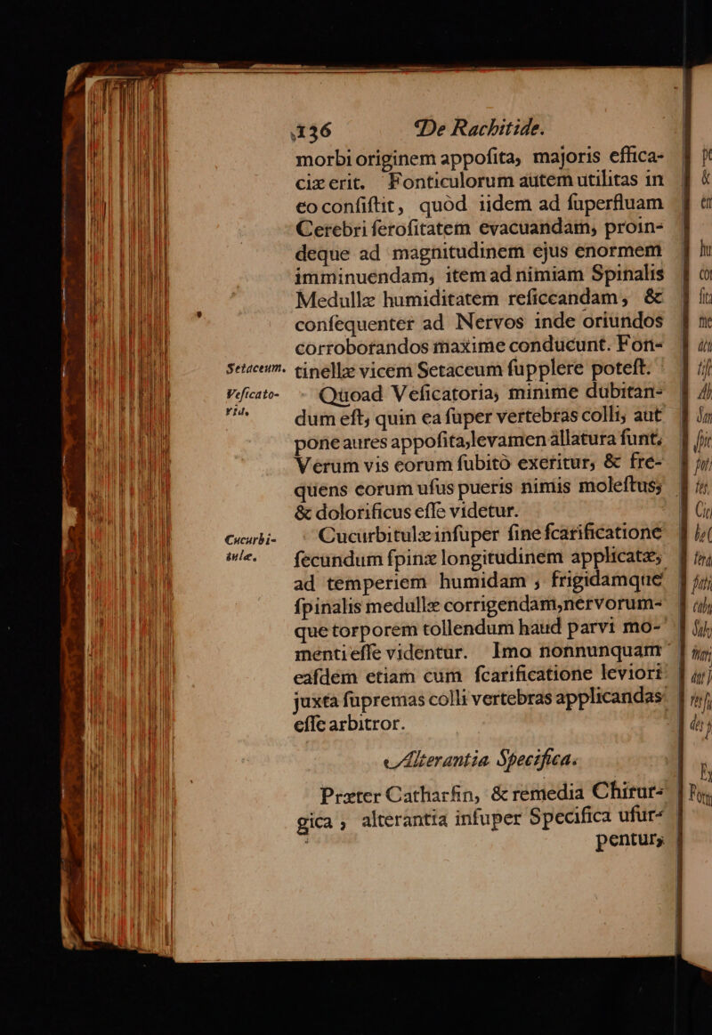 Veftcato- YH. Cucarbi- iule, morbi originem appofita, majoris effica- cizerit. Fonticulorum autem utilitas in eoconfiftit, quód iidem ad fuperfluam Cerebri ferofitatem evacuandam, proin- deque ad magnitudinem ejus enormem imminuendam, item ad nimiam Spinalis Medullz humiditatem reficcandam , &amp; confequenter ad Nervos inde oriundos corroborandos maxime conducunt. Fon- tinelle vicem Setaceum fupplere poteft. - Quoad Veficatoria, minime dubitan- dum eft, quin ea fuper vertebras colli; aut poneaures appofita;levamen allatura funt, Verum vis corum fubitó exeritur, &amp; fre- quens eorum ufus pueris nimiis moleftus; &amp; dolorificus effe videtur. | Cucurbitulzinfuper fine fcarificatione fecundum fpinx longitudinem applicate ad temperiem humidam ; frigidamque fpinalis medullz corrigendam,nervorum- | que torporem tollendum haud parvi mo- | mentieffe videntur. lmo nonnunquam | eafdem etiam cum fcarificatione leviort | juxta fupremas colli vertebras applicandas: | effc arbitror. p v/lterantia. Specifica. Prxter Catharfin, &amp; remedia Chirur- |? gica, alterantta infuper Specifica ufur^ | pentur; |