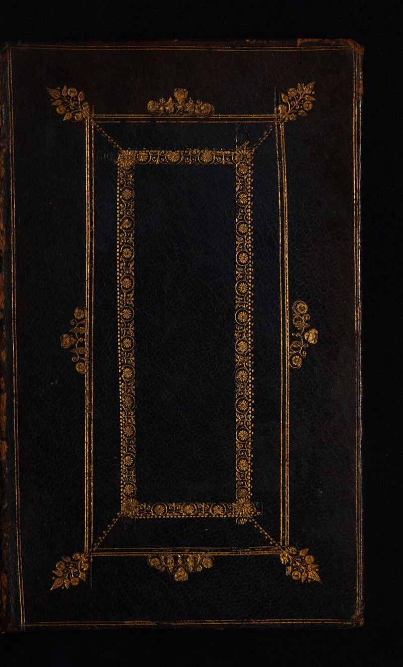       LOCI ——À—— ÓÀM € Lia gerere m t ntm t e e y erm Rem 