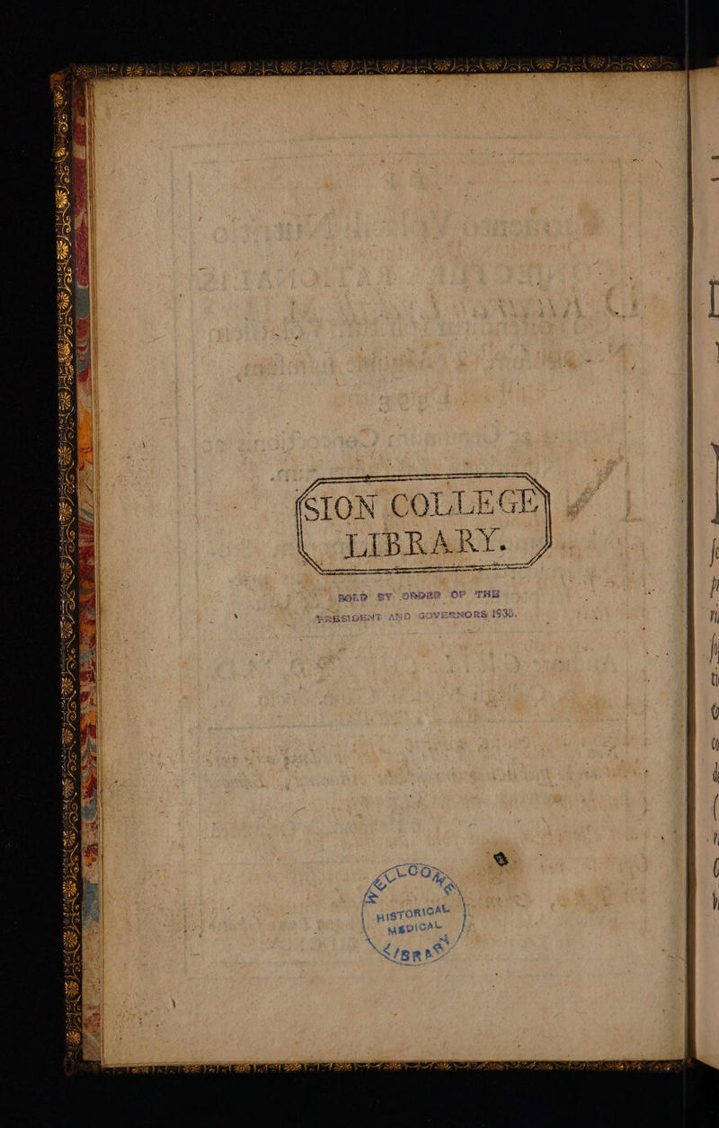 VES RN UNO RS 193i SV