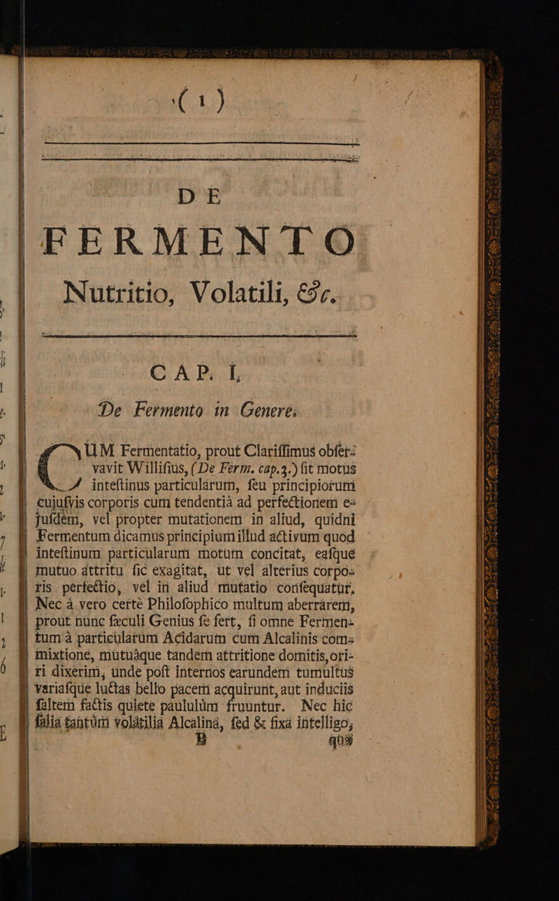 v ROGERUS DUGU RUE CMM EN -omE. (b) DE FERMENTO CAR. IL De Fermento in Genere; UM Fermentatio, prout Clariffimus obfer: vavit Willifius, (De Ferm. cap.3.) it motüs *. 7 inteftinus particulárum, feu principiorutri cujufvis corporis cum tendentià ad perfectionem e« jufdém, vel propter mutationem in aliud, quidni Fermentum dicamus principiumillud activum quod inteftinum particularum motütn concitat, eafqué mutuo dttritu fic exagitat, ut vel alterius corpo- tis perfedio, vel in aliud mutatio corifequatür, Nec à vero certé Philofophico multum aberráreri, prout nunc fzculi Genius fe fert, fi omne Fermen- tum à particularum Acidarum cum Alcalinis coms mixtione, mutuàque tanderh attritione doritis,ori- | ri dixerim, tnde poft internos earundetm tumultü$ variafque lu&tas bello pacer acquirurit, aut induciis E faltem fatis quiete paululüm frountur. Nec hic E falia taotüri volárilia alcun fed & fixà intelligo, | qu