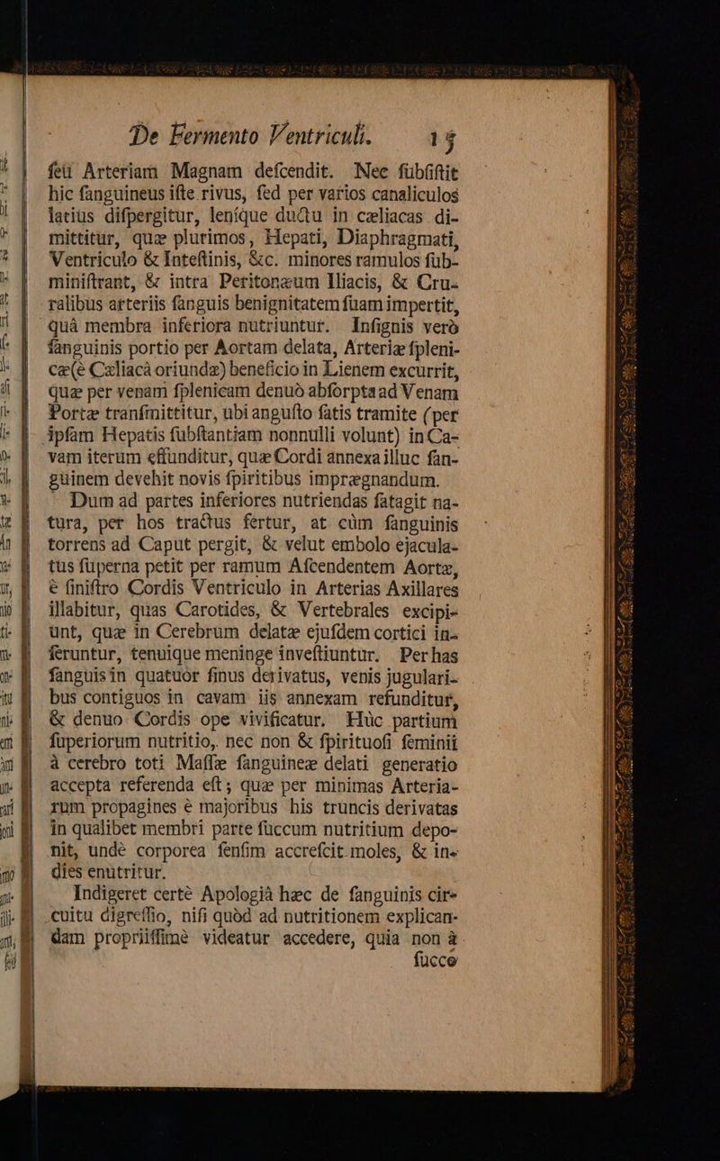  De Fermento Ventriculi. 15 ! | feü Arteriam Magnam defcendit. Nee fübüftit hic fanguineus ifte rivus, fed per varios canaliculos latius difpergitur, leníque ductu in celiacas di- mittitur, qua plurimos, Hepati, Diaphragmati, * | Wentriculo &amp; Inteftinis, &amp;c. minores ramulos füb-  | miniftrant, &amp; intra Peritonzum lliacis, &amp; Cru. | ralibus arteriis fanguis benignitatem fuam impertit, ! | quà membra inferiora nutriuntur. Infignis vero - fanguinis portio per Aortam delata, Arteriz fpleni- l | ca(é Czliacà oriundz) beneficio in Lienem excurrit, | qua per venam fplenicam denuo abforptaad V enam * | Porte tranfmittitur, übiangufto fatis tramite (per i [|- ipfam Hepatis fübftantiam nonnulli volunt) inCa- p. | vam iterum effunditur, quae Cordi annexailluc fan- j| | güinem devehit novis fpiritibus impregnandum.      d. | Dum ad partes inferiores nutriendas fatagit na- tt | tura, per hos tractus fertur, at cüm fanguinis ir ||. torrens ad Caput pergit, &amp; velut embolo ejacula- * &amp; tusfüperna petit per ramum Afcendentem Aortz, 5 f$ éfinifiro Cordis Ventriculo in Arterias Axillares i | iabitur, quas Carotides, &amp; Vertebrales excipi- tü- &amp;. unt, quz in Cerebrum delate ejufdem cortici in-  | feruntur, tenuique meninge inveftiuntur. Perhas x | fanguisin quatuor finus derivatus, venis jugulari- ii | bus contiguos in cavam iis annexam refunditur, ); E &amp; denuo Cordis ope vivificatur. Hc partium m E füperiorum nutritio, nec non &amp; fpirituofi feminii wf à cerebro toti Maffae fanguinez delati generatio i» f| accepta referenda eft; qua? per minimas Arteria- a rum propagines é majoribus his truncis derivatas m E inqualibet membri parte fuccum nutritium depo- B| nit, undé corporea fenfim accrefcit moles, &amp; in- 5$ m diesenutritur. ji Indigeret certé Apologià hec de fanguinis cir* Ji .cuitu digreffio, nifi quód ad nutritionem explican- 5. dam propriffmé videatur accedere, quia non à. bl | . fucce                     