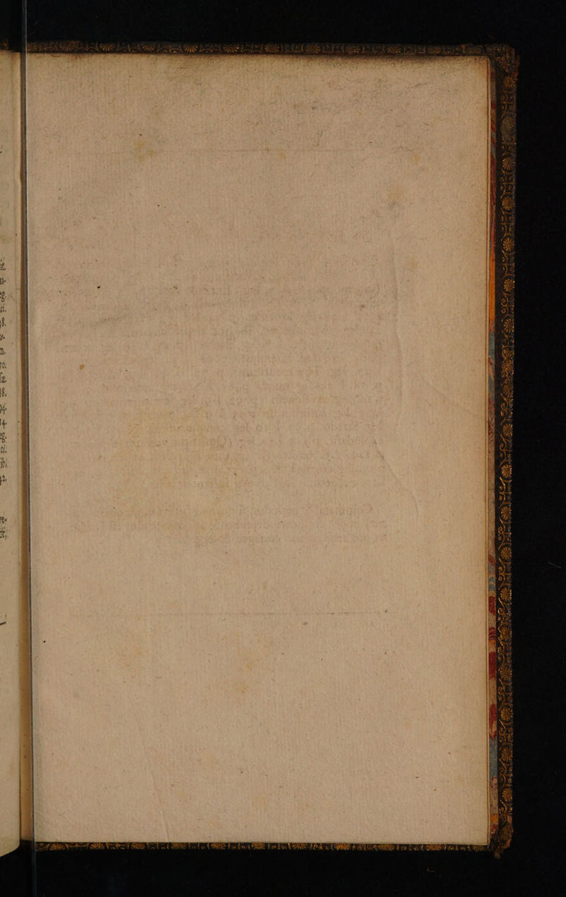 ARIETE  on Ur it acr  