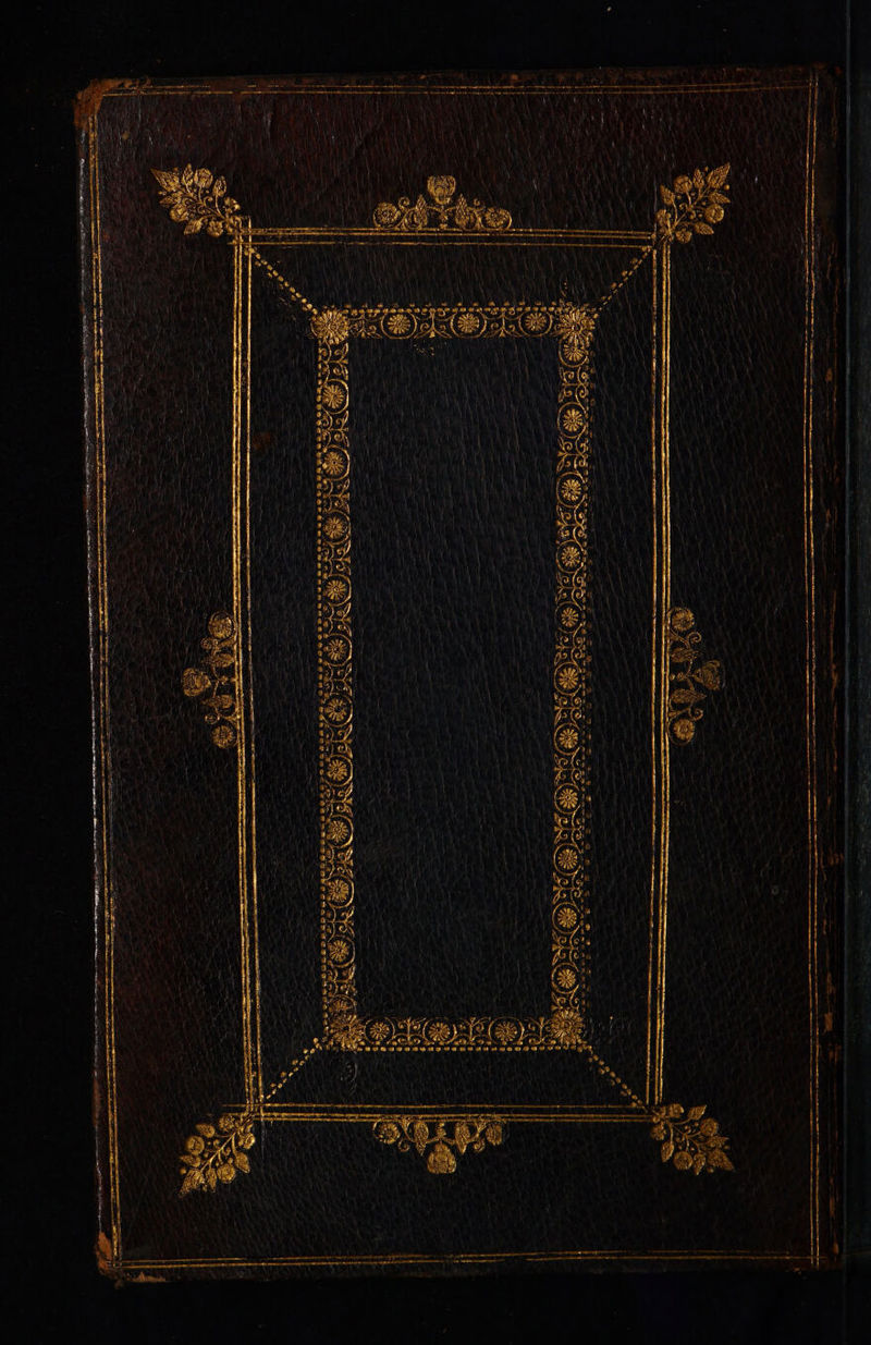       ca ECCO CC AER rc pen ANC NC Ld ue VD P d: exe.  ——ÀÀ 1 LE — !   042 : segre irit BIA rimam    mwcc*y HO ee mei LLL EE A CRM CORR Wgpreapt