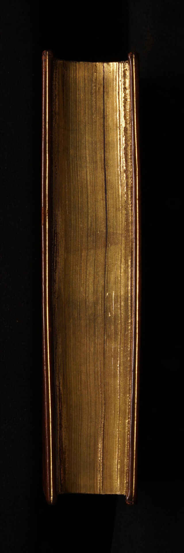 No text description is available for this image