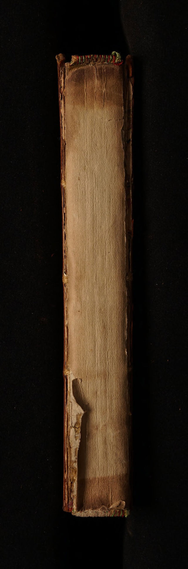 digitised image 2
