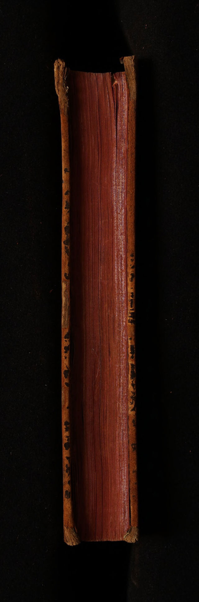 digitised image 3