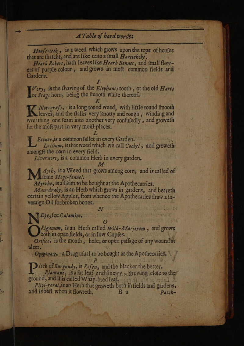 1s Saas EN i al Pea Houfe-leek , is a weed which gtows upon the tops of houfes that are thatcht, and are like uatoa {mall Hartichoke. Hearh Robert, hath leaves like Hearb Benner, and {mall fow- ers of purple colour, and grows in moft common fields and Gardens. | I Very, isthe fhaving of the Elephants tooth’, or the old Harte or Stags horn, being the {mooth white thereof. 3 K : 7 Not-grafs, -isalong round weed, with little round fmooth leaves, and the ftalks very Knotty and rough , winding and wreathing oné {eam into another very confufedly , and groweth for the moft part in very moift places. L Ettuce,is a common fallet in every Garden. : Loilinm, isthat weed which we call Cocke! and oroweth amoneft the cern in every field. er Liverwort, isa common Herb in every garden. Ayth, isa Weed that grows among corn, and is called of fome Hogs-fenne/. Myrrbe, isa Gum to be bought at the Apothecatries. Man-drake, is an Herb which grows in gardens, and beareth certain yellow Apples, from whence the Apothecaries draw a {o- veraign Oil for broken bones. | N Epe; fee Calamint. és ! Oism isan Herb called wild-ALarjerons 5 and grows »F doth in open fields, or in low Copfes. | «le is the mouth , hole; or open paflage of any wound er tilcer. IN | ‘ lich ot Burgandy, 1s Rofen, andthe blacker the better. . Plantae, isa fat leaf and finewy. &gt; growing iclofe to the? ground, and itis called Whay-bred leafe;¢ +9 -f) 2 eotmal wt Plicl-roral,is ay Herb that eroweth both in fields and gardens, and isbeft when it flowreth, B 2 Patch- — te ee ni a, a a nae Cae A A aca tt 22 eS ae 2 eb emia - end ee re — —