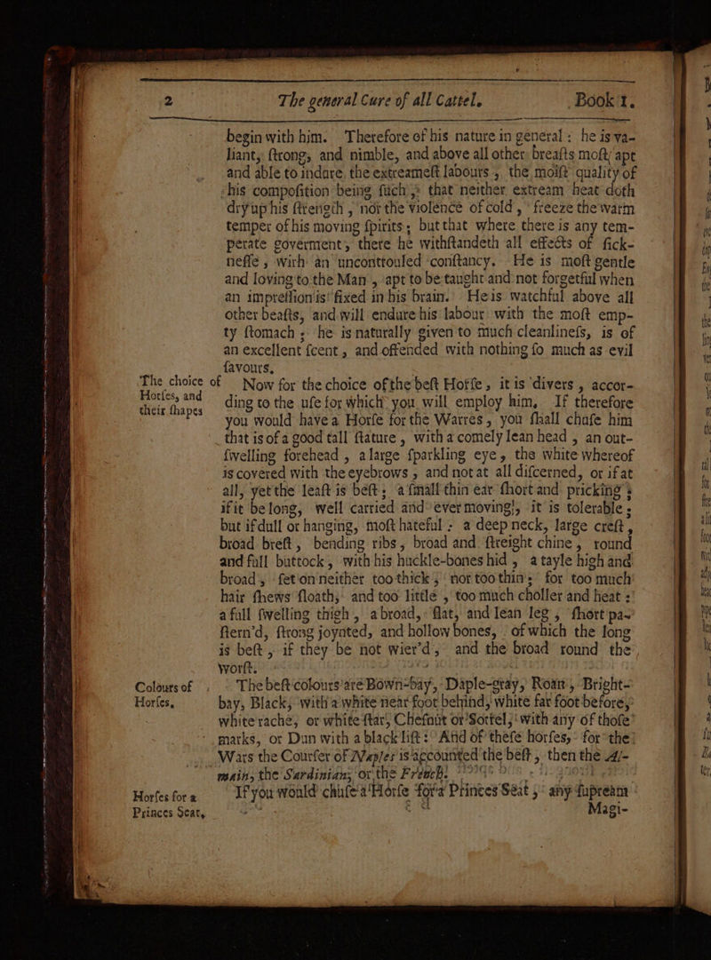 SINUSES een gee einen: | | o&gt;85 oedema MEE g eu Ten — ac mene MONO oma nageee ee Pau were ove Sree ai The general Cure of all Cattel. Book't, begin with him. Therefore of his nature in general : he is ya- liant, ftcong, and nimble, and above all other: breafts moft ape and able to indare, the extreameft labours ,, the, moift’ quality of dryuphis @reneth , nor the violence of cold, * freeze the watm temper of his moving fpirits,; butthat where there is any tem- perate goverment, there he withftandeth all effects of fick- neffe , wirh an unconttouled ‘conftancy. He is moft gentle and loving to the Man , ‘apt to be tanght and:not forgetful when an impreffion'is’ fixed in his brain.’ Heis watchtul above all other beafts, and will endure his labour with the moft emp- ty fomach ; ‘he is naturally given to much cleanlinefs, is of an excellent fcent, and offended with nothing fo much as evil favours, i Horfes, and their fhapes Colours of Horfes, Horfes for a Princes Seat, ding to the ufe for which: you. will employ him, If therefore you would have a Horfe forthe Warres, you fhall chafe him that is ofa good tall ftature , with a comely lean head , an out- felling forehead , alarge fparkling eye, the white whereof is covered with the eyebrows , and not at all difcerned, or ifat all, yetthe leaft is bet; a {mall thin ear fhort and. pricking : ifie belong, well carried and’ ever moving}, it is tolerable ; but ifdull or hanging, moft hateful ; a deep neck, large creft, broad breft, bending ribs, broad and. freight chine, round and fall buttock, with his huckle-bones hid, a tayle high and broad, ‘fetion'neither too thick, nor too thin’; for too much hair thews floath;. and too little , too much choller and heat : afoll {welling thigh , abroad,: flat, and lean leg , ‘fhort pa~ ftern’d, ftrosg joynted, and hollow bones, | of which the long is bet, if they be not wier’d and the broad round the wortt. : any } The beft'colours’aré Bown-bay,, -Daple-gtay, Roar, Bright- bay, Black; ‘with’a white near foot behind, white far foot before, main, the Sardinian; ‘or the Freep, 7008 80S «31° gnemy | If you would chinfe'a Hérfe for'a’ Princes Séat 5° any dupream iy iia Magi- 6) Wars the Courfer of 2Vap/es 1s ‘agcounted the beft 5 then the Al- a = ss }«(6cSe =&gt; - SS. —... .....-. wc. WR — =