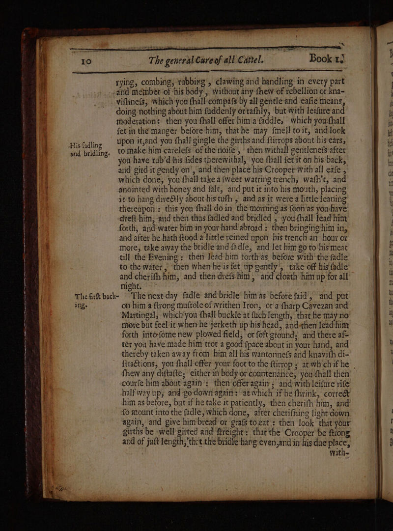 “~*~ Book 1. The general Cure of all Cattel. | SA iM rying, combing, tabbisg , clawing and handling in every part | arid méinbet of ‘his body’, without any fhew of rebellion or kna- Hi vifline{s, which you thall compafs by all gentle'and €afie means, : doing nothing about him fuddenly ortathly, ‘but with leifure and moderation: then you fhall offer him a faddle, which you:fhal! fetin the manger before him, thathe may {mell toit, and look MM Bisfadling © UPOR it,and you fhall gingle the girths and ftirrops abont his ears, and bridling. tomake:him carelefs of the nioife’, * then withall gentlenefs after you have rib’d his fides therewithal, ‘you fhall fet it on his‘back, _ and gird it gently on’, and then place his'Crooper tvith all eafe , i which done, you fhall take a {weet watring trench, wafh't, and i ! anointed with honey and fale, and put it into his mouth, placing it to hang dive@tly abouthis tufh , and as it were a little leaning therenpon:: this yon ‘fhall do in the morning as foon as you:have -dreft-him, and then thus fadied and bridled , -youfhall lead him forth, aid water him in yourhand abroad: then bringinghim in, and after he.hath ftoed a little reined upon his trench an hour or q more, take away the bridle‘and fadle, and let him go to‘his meat U4 till the Evening ; then Jead-him torthas before with' the fadle | to the water, ‘then whem he is fet up gently’, ‘take off his fadle and cherifh him, and then drefs him, and cloath him up for all Sede Ses EE er moht. ' Thefirft back- The next-day fadle and‘bridle him as before faid, and put | ing. on him a ftrong mufrole of writhen Iron, or a fharp Cavezan and ‘Martingal, which’you fhall buckle at fuch length, that he may no more but feel it when-he jerketh up-his head, and-then lead him ‘forth into-fome new plowed field; or foft gtonnd. and there af= ter you have made him trot a good {pace abont in your hand, and thereby taken away from him all his wantonnefs and knavith di- {tra&amp;tions, you fhall cffer your foot to the ftirrop ; at wh'ch if he See erp as nen ne ES se nme AE ey Ne Fo a SR -courfe him about again’: then offeragain ; and-with leifure yife him as before, but if he take it patiently, then cherifh him, and fo mount into the fadle, which done, after cherifhing light down again, and give him‘bread or grafstoeat : then look that your gitths be -well gitted and ‘ftreight: that the Crooper be Arong ard of juft length, th:t the bridie harg even,and in his due place, with~ en ne ee en ee Sa re PI =