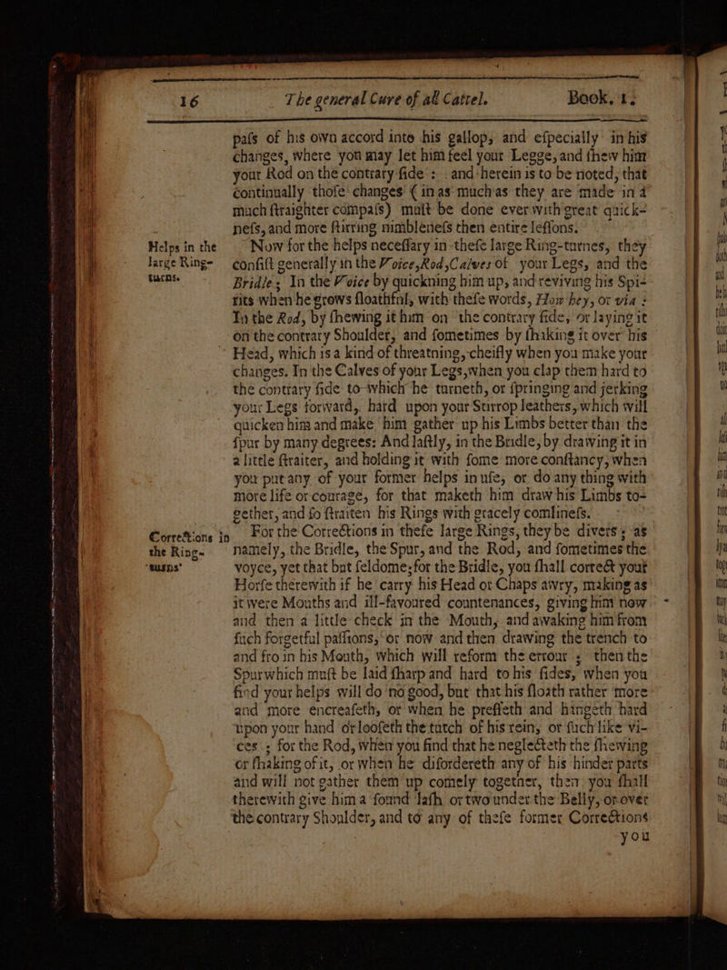 eee ng eee I en ae he cece ctngran A NENT scheme ann ema omen Names an mn mn RBS eT ane ATI CorreXtions in the Ring- ‘tusns’ The general Cure of al Cattel. Book, 1. pafs of his own accord into his gallop, and efpecially: in his changes, where yon may let him feel your Legge, and thew him your Rod on the contrary fide : . and-herein is to be noted, that continually thofe: changes’ (in as’ muchas they are made in 4 Ti the Rod, by fhewing it him on ‘the contrary fide, or laying it on the contrary Shoulder, and fometimes by thaking it over his — Head, which isa kind of threatning,-cheifly when you make your changes. In the Calves of your Legs, when you clap them hard to the contiary fide to-ivhich he turneth, or {pringing and jerking your Legs forward, hard upon your Surrop leathers, which will quicken him and make. him gather up his Limbs better than the {pur by many degrees: And laftly, in the Bridle, by drawing it in a little ftraiter, and holding st with fome more conftancy,; when you putany of your former helps inufe, or do any thing with more life or courage, for that maketh him draw his Limbs to- gether, and fo ftraiten bis Rings with gracely comhinefs. For the Corrections in thefe large Rings, they be divers. as namely, the Bridle, the Spur, and the Rod, and fometimes the voyce, yet that bat feldome; for the Bridle, you fhall corre&amp; yout Horfe therewith if he carry his Head ot Chaps awry, making as it were Mouths and ill-favoured countenances, giving Inmi now and then a little check in the Mouth, and awaking him from fuch forgetful paffions,‘or now and then drawing the trench to and froin his Mouth, which will reform the errour ; then the Spurwhich muft be laid {harp and hard to his fides, when you find your helps will do no good, but that his floath rather ‘more and more encreafeth, or when he preffeth and hangeth hard upon your hand otloofeth the tutch of his rein, or fuch like vi- ces; for the Rod, when you find that he neglecteth the fhewing or fhaking of it, or when he difordereth any of his hinder parts and will not gather them up comely togetner, thei you fhall therewith give hima found lath ortwo under the Belly, orovet you