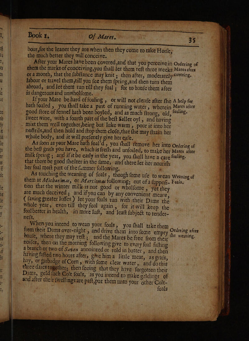 bour,for the leaner they are when then they come to rake Horfe, the much better they will conceive. After your Mates have been cavered,and that you perceivein Ordering of them the marks of conceiving,you fhall Jet them reft three Weeks. Mares aftes ora month, that the fubftance may knit; then after, moderately¢overing. labour or travel them,till you fee them fpring,and then turn them abroad, and Jet them run till they foal. for to honfe them after is dangerous and unwholfome. , If your Mate be hard of foaling , or will not clenfe after fhe A help fer hath foaled , you fhall take a pint of running water, wherein Mares after good {tore of fennel hath been boyled, and as mach ftrong, old, ing. fiveet Wine, with a fourth part of the beft Sallet oy! , and having nofirils,and then hold and {top them clofe,that the may ftrain her whole body, and it will prefently give her eafe, : As foon as your Mare hath foal’d , you thall remove het into Ordering of the bef? grafs you have, whichis frefh and unfoiled, to make her Mares aker milk {pring ; and ifitbe early inthe year, you fhall have a care foaling. that there be good fhelter in the fame, and there Jet her nourifh her foal moft part of the fummer following, | As touching the weaning of foals, though ome nfe to wean Weaning of them at Michaelmas, 0% Martlemas following: out ofa fuppofi- Feals, tion thatthe winter milk is not good or wholfome , yet they are much deceived ; and ifyoucan by any convenient means, Whole year, eventill they foal again, for itwill keep the . foal better in health, in more Juft, and leatt fubjeét to tender- ne{s, When you intend to wean your foals, you fhall take them from their Dams over-night , and drive them into fone empty Ordering after houfe, where they may reft: and the Mares be free from their ‘* “M8: : fro noifes, thei on the morning following Sive to every foal fafting a branch or two of Sagen annointed or told in butter &gt; and then having fafted two hours after, give hima little Meat, as grafs, hay, ot garbadge of Corn, with fome clear water, and dothis three dares together. then {ceing that they hive ‘forgotten their Datis, geld fuch Colt foals, as you intend to make oeldings of and after their fwellings are paft,pat them unto your other Colt- ' foals Ee en TE ny Oe een ee NS ee Se