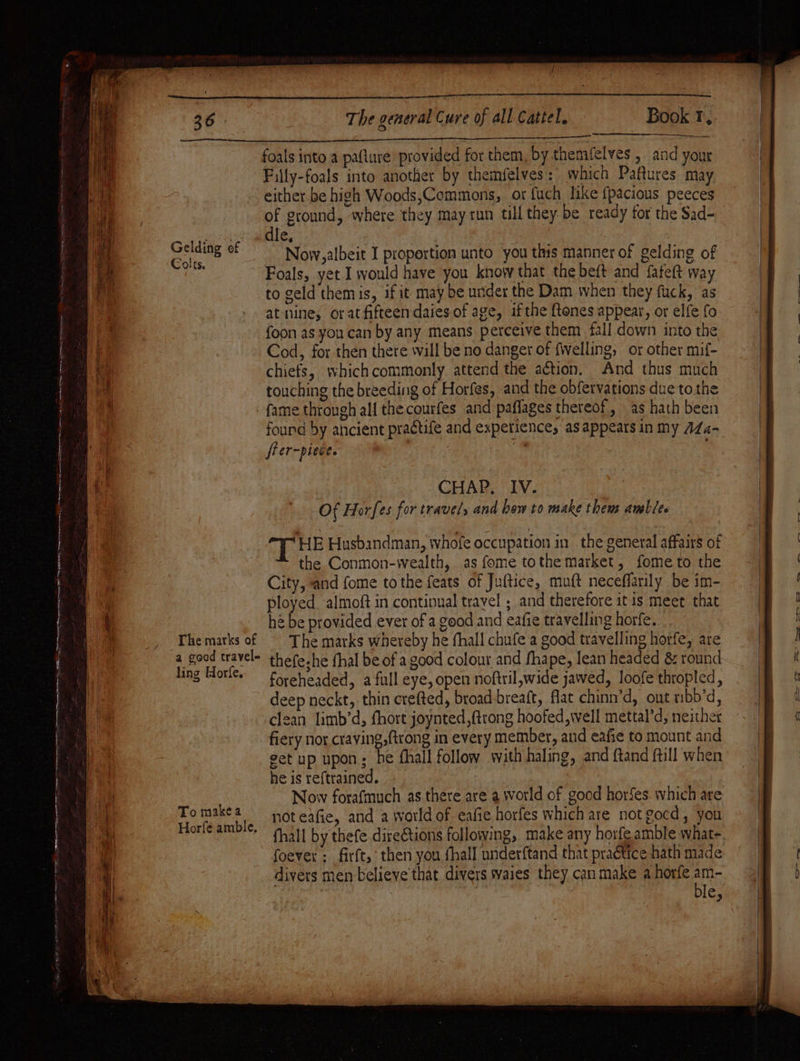 ASE eee eee ee ei Se 2 a ne ee Agee fa ener LEE meme enetetg agree ame aan The general Cure of all Cattel, Book T, eee te ie ve ee ee th foals into a paflure provided for them, by themfelves , and your Filly-foals into another by themfelves: which Paftures may either be high Woods,Commons, or fuch like {pacious peeces P eround, where they may run till they be ready for the Sad- le, | Now, albeit I proportion unto you this manner of gelding of Foals, yet I would have you know that the beft and fafeft way to geld themis, if it may be under the Dam when they fuck, as at nine, oratfifteendaies of age, ifthe {tones appear, or elfe fo foon as you can by any means perceive them fall down into the Cod, for then there will be no danger of fwelling, or other mif- chiefs, whichcommonly attend the action. And thus much touching the breeding of Horfes, and the obfervations due tothe fame through all the courfes and paffages thereof, as hath been found by ancient practife and expetience, as appears in my 1Z4- frer-picce. ‘ CHAP. IV. Of Horfes for travels and how to make thems amblee Gelding ef Colts. HE Hasbandman, whofe occupation in the general affairs of the Conmon-wealth, as fome tothemarket, fome to the City, and fome tothe feats of Juftice, muft neceffarily be im- ployed almoft in continual travel ; and therefore itis meet that hé be provided ever of a good and eafie travelling horfe. The marks whereby he fhall chufe a good travelling horfe, are ki iy na thefeshe thal be of a good colour and fhape, lean headed &amp; round ing mores foreheaded, a full eye, open noftril,wide jawed, loofe thropled, deep neckt, thin crefted, broad-breaft, flat chinn’d, ont nibb’d, clean limb’d, fhort joynted,ftrong hoofed, well mettal’d, neither fiery nor craving, {trong in every member, and eafie to mount and get up upon: he fhall follow with haling, and ftand ftill when he is reftrained. Now forafmuch as there are a world of good horfes which are Tomakea = noteafie, and a world of eafie horfes which are notgocd, you Horfé amble, &gt; Bk Mg foever : firft,’ then you fhall underftand that practice hath made divers men believe that divers waies they can make a horfe am-
