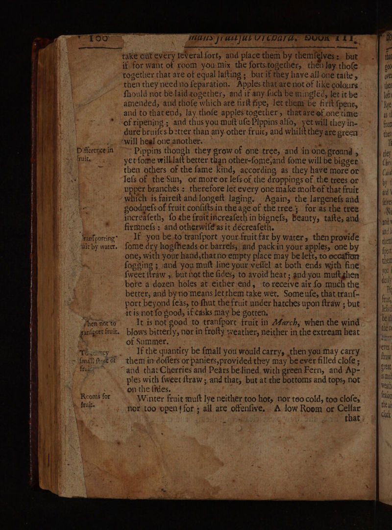 eee a iritit. eer fan{porring* ‘uit by water. “hen not to saniport fruit. MOM cy. fr uae Reoms for fruit. take cuit every feveral fort, and place them by themfelves:. but it for want of room you: tix the forts.together, then lay thofe together that are of equal laiting ; butif they have all one taite, then they need no feparation. Apples that are not of like colours fhould not bedaidtogether, and it any fuch be mingted, let it be amended, and thofe which are firit fipe, let themy be firit {pent, and to thatend, lay thofe apples together, that areof one time ‘of ripening; and thus you mutt ufe Pippins alfo, yet will they in- dure bruifes.b2trer than any. other fruic, and whilft they are green ‘will heal one another. ie ont Pippins though they grow of oné tree, and in onegronnd , | yerfome wilklatt better than other-fome,and fome will be bigger then others of the fame kind, according as they have more or lefs of the Sun, or more‘or lefs of the droppings of the trees or upper branches : therefore let every onemake moltof that fruit which is fairelt and longeft lasing. Again, the largenefs and soodnefs.of fruit confiftsin the age of the tree.; for as the tree increafeth, fo she fruitincreafech in bignefs, Beauty, tafte, and firmnefs ; and otherwiféas it décreafeth. i If you be.to tranfport your-frnit far by water, then provide fome dry hog{Kheads or barrels, and packin your apples, one by one; with your hand,thatnoempty place may be left, to eccafion fogging ; and you mult line your veffel at both ends with fine {weet {traw ,, but not the fides, to avoid heat; andyou muftghen bote a dozen holes at either end, to receive air fo much the better, and by no’means Jetthem take wet. Some ufe, that tranf- port beyond feas, to fhut the fruit under hatches upon ftraw ; but - at isnot fo Sood, if casks may be gotten, It isnot good to tranfport fruit in AfZarch; when the wind blows bitterly, nor in frofty weather, neither in the extream heat of Summer. If the quanticy be {mall you would carry, then you may carry them in doflers or paniers,providedthey may be ever filled clofe ; “and that Cherries and Pears be lined, with green Fern, and Ap- ples with {weet dtraw; and that, but at che bottoms and tops, not on the {fdes. ; Winter fruit muft lye neither too hot, nor too cold, too clofe, Ie MAS |] ULLJULUTCOGTA, NOOK” that