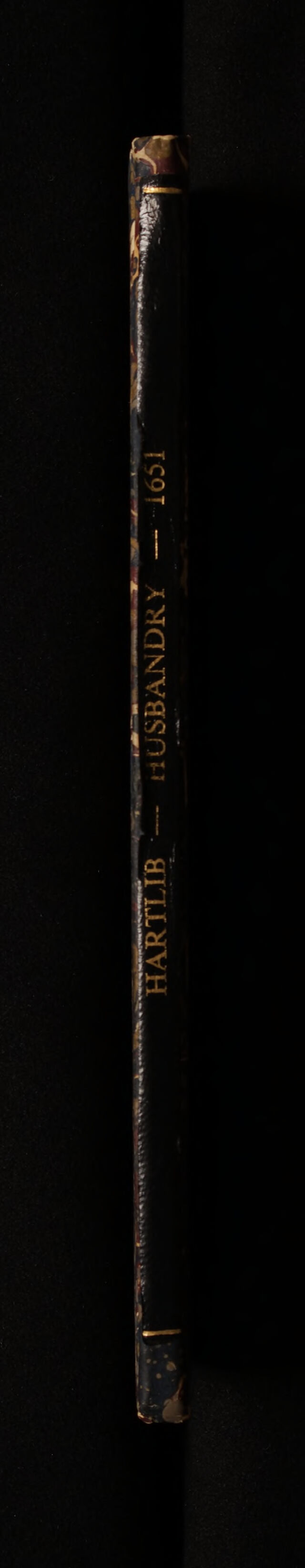 digitised image 2