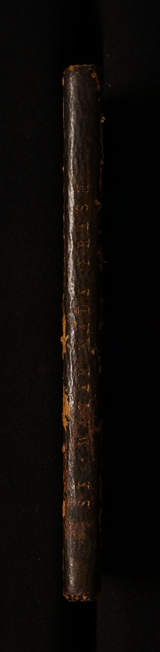 No text description is available for this image