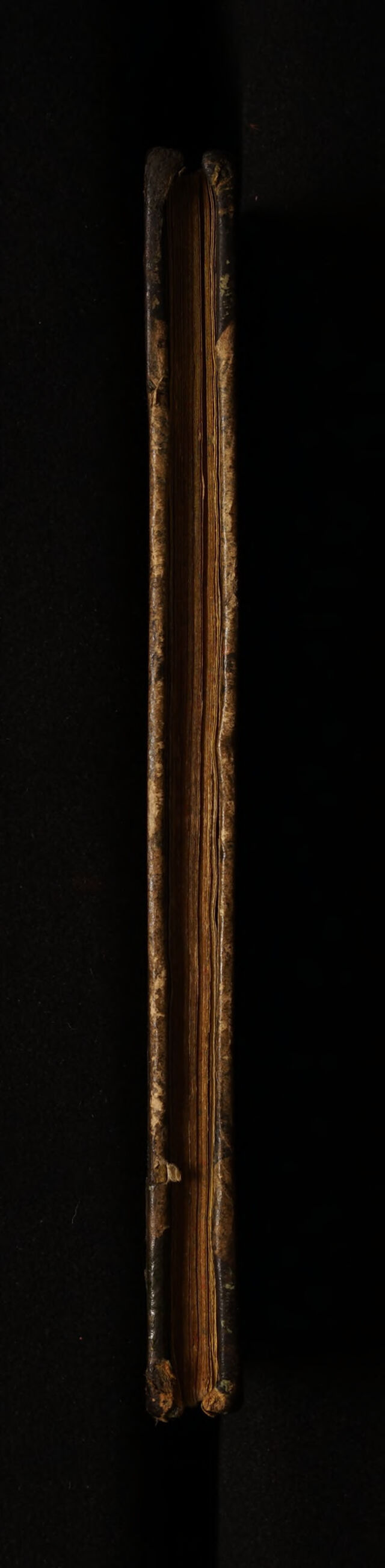 No text description is available for this image