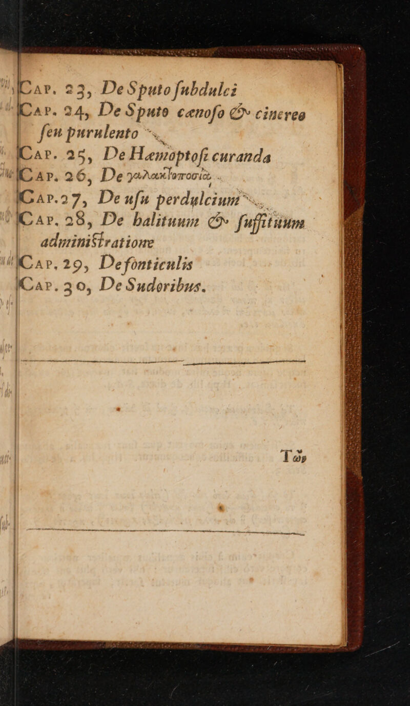 I^ P. 24, De Sputo cenofo C cincreo fen purulento 7. ICar. 25, De H.emoptofz curanda li ICA». 26; De 5^ ax Torrogia, | ICar.27, Deufu per dulcius IC Av. 28, De balituum C» fuffitiütm | | P^ HD SRM WAP. 29, Defonticulis ICa». 30, De Sudoribus.