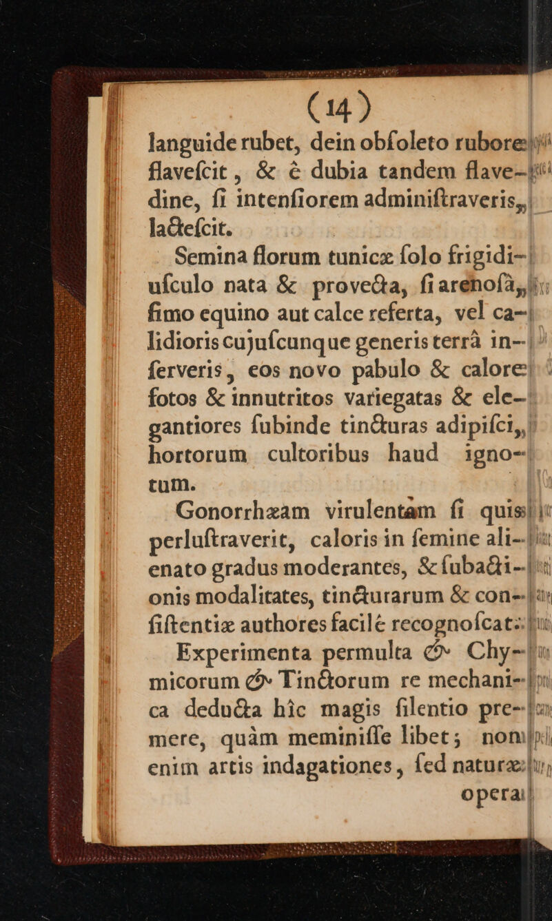 AN UCLEL (14 ) languide rubet, dein obfoleto rubore? flaveícit,, &amp; 6€ dubia tandem flave-1i' dine, fi intenfiorem adminiftraveris,,| ladteícit. Semina florum tunicz folo frigidi-/ ufculo nata &amp; prove, fi arenofayt: fimo equino aut calce referta, vel ca-j lidioris cujufcunque generis terrà 1n--| ferveris, eos novo pabulo &amp; calore; fotos &amp; innutritos variegatas &amp; ele-. gantiores fubinde tin&amp;uras adipiíci,,| hortorum cultoribus haud igno- tum. ! Gonorrhzam virulentam íi quis]: perluftraverit, caloris in femine ali--[u enato gradus moderantes, &amp; (ubadi-.|it onis modalitates, tin&amp;urarum &amp; con-- |: fiftentiz authores facile recognofcat: | Experimenta permulta - Chy-[u micorum Q2» Tin&amp;orum re mechani- [x ca dedu&amp;a hic magis filentio pre--|o mere, quàm meminiffe libet; nonm|yi enim artis indagationes, fed naturaz[u; operai|