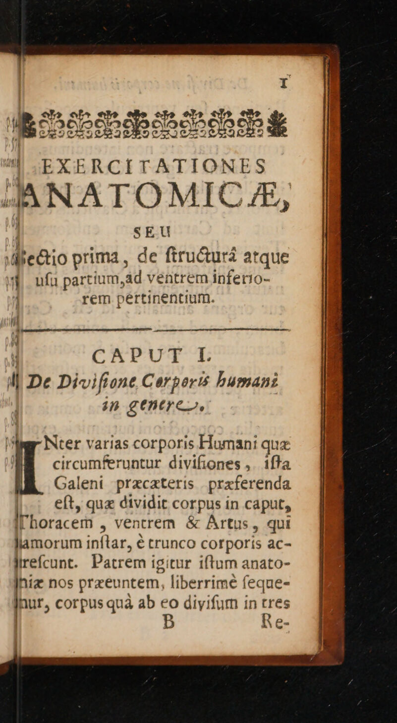 : «hb» eh e» | peponan ipe eoosan d ^ EXERCITATIONES JANATOMICJE, SEU dieaio prima , de ftructuri atque $4 ufupartium id ventrem inferio- ! rem pértinentium. ————À CAPUT L M De Divifione Cerperis buman: ip ge€ntre, Nter varias corporis Humani quz circumferuntur divifiones ,. iffa Galeni przcateris przferenda eft, quz dividit corpus in caput, Il'horacem , ventrem &amp; Artus, qui Jlamorum inftar, € trunco corporis ac- lirefcunt. Patrem igitur iftum anato- Jhiz nos przeuntem, liberrimé feque- Inur, corpus quà ab eo diyifum in 2 B le