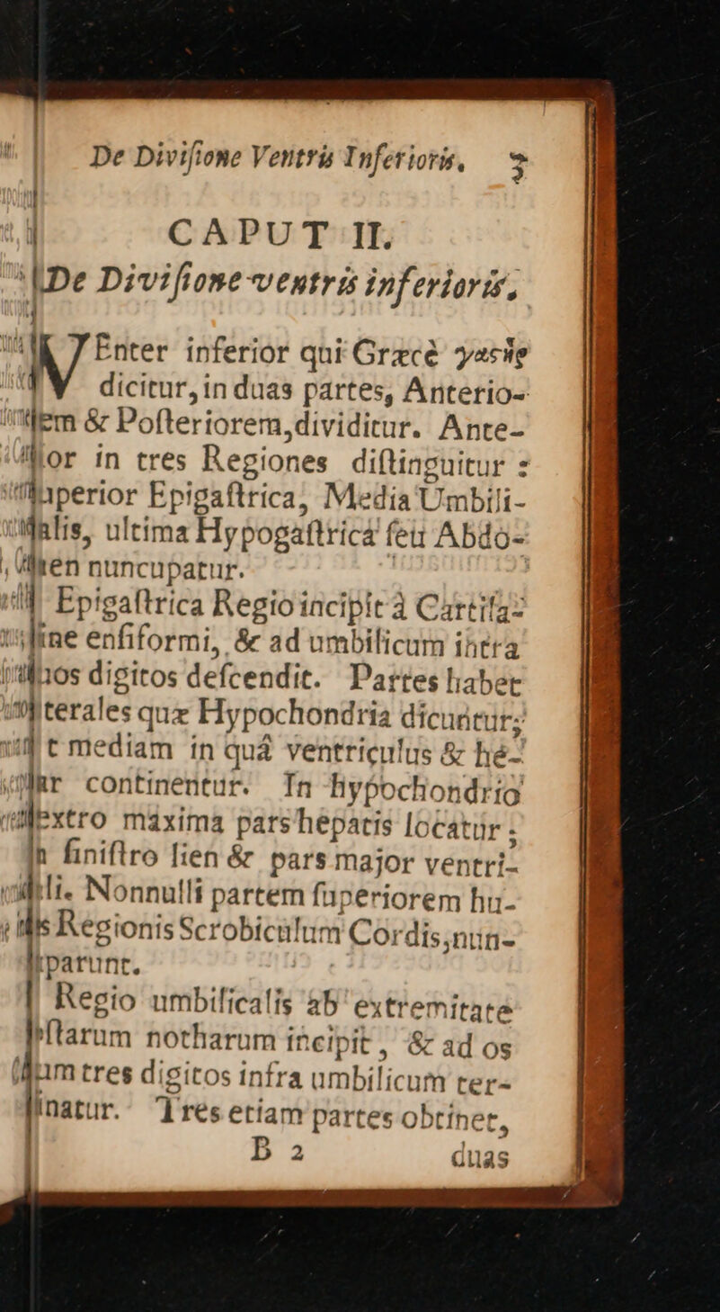 I [ CAPU T II. [Dv Divifione ventris inferioris, jte inferior qui Grace yaciie dicitur,in duas partes, Ariterio- ] Jem &amp; Pofteriorem dividitur. Ante- or in tres Regiones diftinguitur : Mperior Epigaftrica, Me dia Umbili- Wdfnlis, ultima Hypogaftrica f eu Abdo- , hen: nuncupatur. !q Epigaftrica Regio incipit à Cartifaz tle enfiformi, &amp; ad umbilicum intra j'!flnos digitos defcendit. Partes liabet ] terae quz Hy pochondria dicudtur; mediam ín quà ventriculus &amp; hé- 'M contimentur. Tn hyfochondrio | dextro maxima pars' hepatis locatur ; h finiflro lien &amp; pars major ventri. | lli. Nonnulli partem fuperiorem hu- | Mis Regionis Scrobicilum Cord dis,ntin Hl tparunt. | Recio umbilicalis 4b As emitate Miarim notharum Incipit, &amp; ad os qum tres digitos infra ambili icum ter- fatur. 1 rés etiam partes obtínet, 2 duas