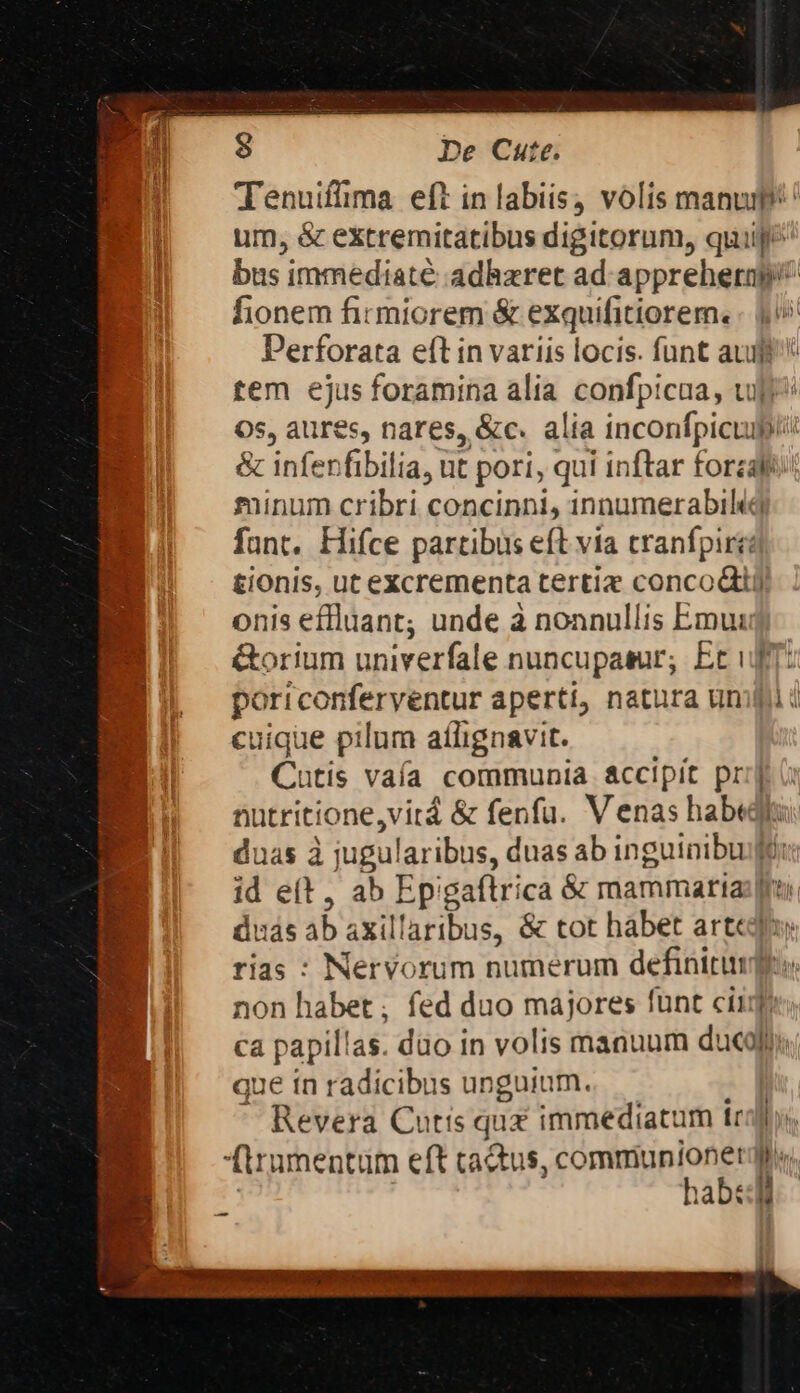 Tenuiffima eft in labiis) volis manum: um, &amp; extremitatibus digitorum, quiije bus immediate adhzret ad appreherap/^ fionem firmiorem &amp; exquifitiorem. Perforata eft in variis locis. funt auff tem ejus foramina alia confpicaa, ufi Os, aures, nares, &amp;c. alia inconfpicuipi &amp; inferfibilia, ut pori, qui inftar forzaf: minum cribri concinni, innumerabiltà fant. Hifce partibus eft via cranfpire tionis, ut excrementa tertie concodij onis effluant; unde à nonnullis Emu: &amp;orium univerfale nuncupatur; Et vf: poriconferventur aperti, natura unii cuique pilum aílignavit. Cutis vaía communia accipit pr 1 nutritione, virá &amp; fenfu. V enas habedi duas à jugular ibus, duas ab inguinibugt id e(t, ab Ep gaftri ica &amp; mammatia:;| Hás ab axil! aribus, &amp; tot habet artequ rias : Nervorum numerum definitur non habet ; fed duo majores funt ciue ca papillas. duo in volis manuum ducali que tn radicibus unguium. Revera Cutis qux immediatum ir firumentüm eft ca&amp;tus, commiunionet: hab: *&amp; - —-—-