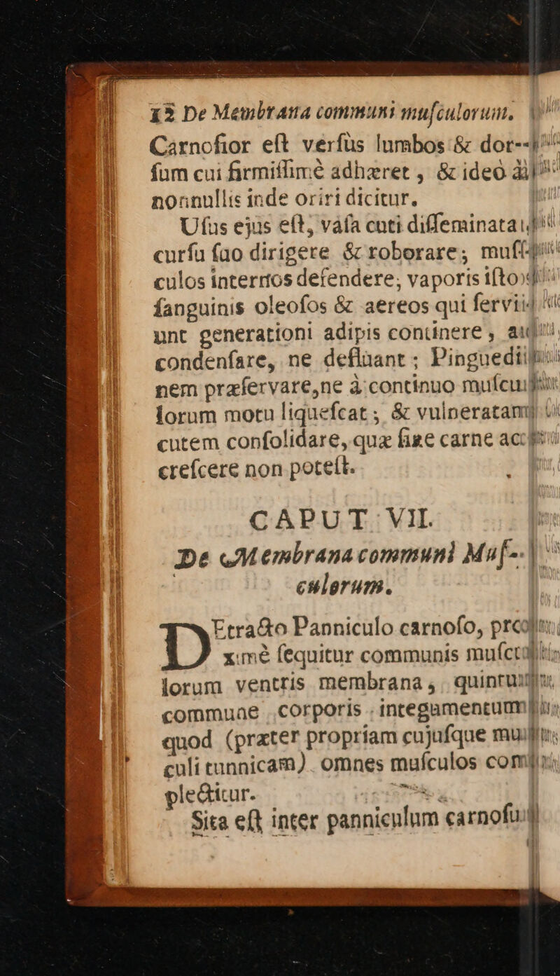 14 E d RC E Bu ut Du hr oA i. Ua oce. fees oy npo Nps a 1 0n anrea qan dy 7 - T SU PO ut Rao Neat T P OR Eu (2. - ae d 5 AR T MENT dm a. NT.  x ny n 13 De Meubrama communi mufculorum, Carnofior eft verfüs lumbos &amp; dor--1/^ fum cui firmiffimé adhzret , &amp; ideo 311 nonnullis inde oriri dicitur. Ufus ejüs eft váía cuti diffeminatauf curfu fao dirigere &amp; roborare; muff4 culos interrtos defendere; vaporis t(to»Ji: fanguinis oleofos &amp; aereos qui fervii4 unt generationi adipis continere , aud condenfare, ne deflaant ; Pinguediii: nem prafervare,ne à: continuo mufcuifsi lorum motu liquefcat ; &amp; vulperatamy cutem confolidare, qua fige carne acc ftu crefcere non poteít. CAPUT VIL De eMembranacommuni Ma[-.| ^ culorum. Etra&amp;to Panniculo carnofo, prc; D xime fequitur communis mufctiliti: lorum ventris membrana ,, quintum; commuae corporis . integamentumQir;: quod (prater propríam cujufque mui: culi tunnicam) . omnes mufculos comi; pledtiur. T9 Sita eft inter pannienlum carnofu.g s