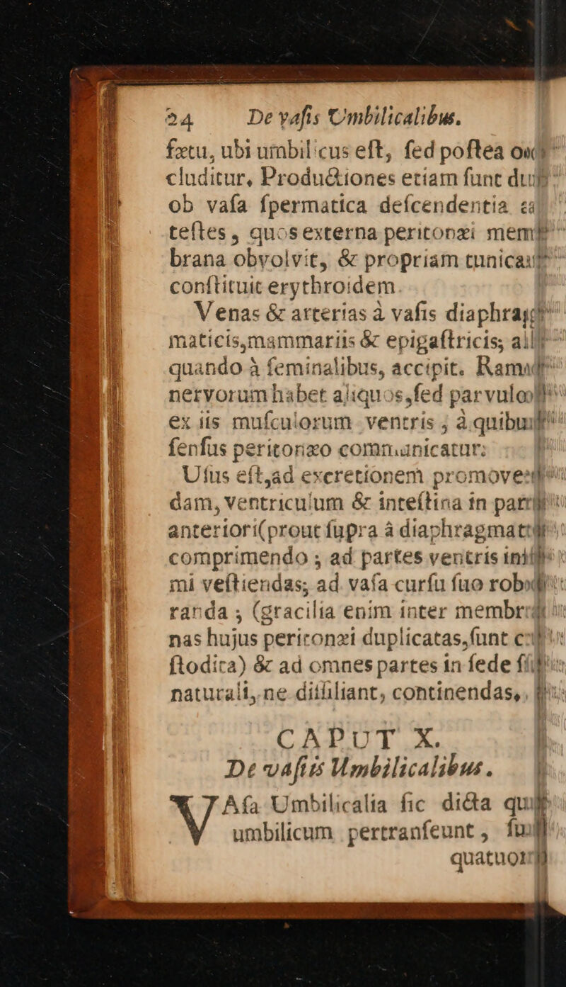 Aya y e: ME dr - o E [m A E UM ner H 4 * S rutbaincearun i Re d un 26s (UTE ^ Hes d * I 3 i: TM ; TRE. um We iM UD GO MAE $4 Devwafis Umbilicalibu. fztu, ubi umbilicus eft, fed poftea oxY^ cluditur, Produ&amp;tiones etiam funt dug: ob vafa fpermatica deícendentia ca teftes, quosexterna perictonzi mem brana obvolvit, &amp; propriam tunicauf? conftituit erythroidem V enas &amp; attérias à vafis diaphragt ^ maticismammariis &amp; epigaflricis, all quando à feminalibus, accipit. Ramadr nervorum habet aliquos,fed parvuloff xiis mufculorum ventris àquibu] d enfus peritorizo communicatur: Ufus eít,ad excrettonem promoveed dam, ventriculum &amp; inteítina tn parri anteriori(prout fupra à diaphragmattil comprimendo ; ad partes ventris tni mi veftiendas; ad. vafa curfu fuo rob randa 5 (gracilia enim inter membrj nas hujus periconzi duplicatas,funt cj ftodica) &amp; ad omnes partes in fede fíi] naturali, ne ditliliant, continendas,. f CAPUT X. Dt vafits Wmbilicalibus. Aía Umbilicalia fic. dicta. quif umbilicum pertranfeunt, ful quatuor