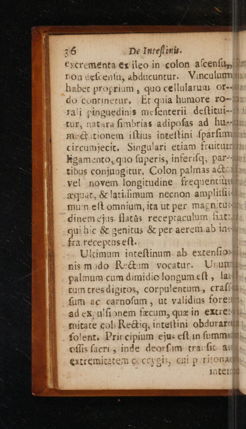 76 De Intefl iris. €xcrementa ex ileo in colon aícenfu li: ron éefceníu, abducuntur. . Vinculum habet proprium , quo cellularum or-- do conrinetur, Ec qaia humore ro- rali pinguedinis m« fenterit deftitui--J EU, 1 natara fimbrias adipofas ad hu-- m-ct.tionem iltius inteftint (parfum circumgjecit, ngu etiam fruitur KESamento quo (uperis, inf ferifq, par- Cx tibus conjnogitur. Colon palmas ac vel novem longitudine frequenti aquat. . & lati.limum necnon amplitlr mun.eft omniur, ita ut Res: magnitü dinem :jus. flatàs receptact nat: qui hic & genitus & pér aere apis ín fra. récept aseft. Ultimum inteftinum. ab. extenfio nis modo R-&am vocatur. Urun palmum cum dimidio longum eft , cam tresdigitos, corpulentum., crafíi fum ac carnofum, ut validius fore ad cx, uifionem faci ams quein eXtie: itate coli Re&iq, intettini obduraredt i, folent, Pri: —-— ejus eft.in fumm«dg offis facri, inde deorfam- tra: fic a &xrremicat CC j o1 ,. € D p I Dad (1f ! AL). 4 310