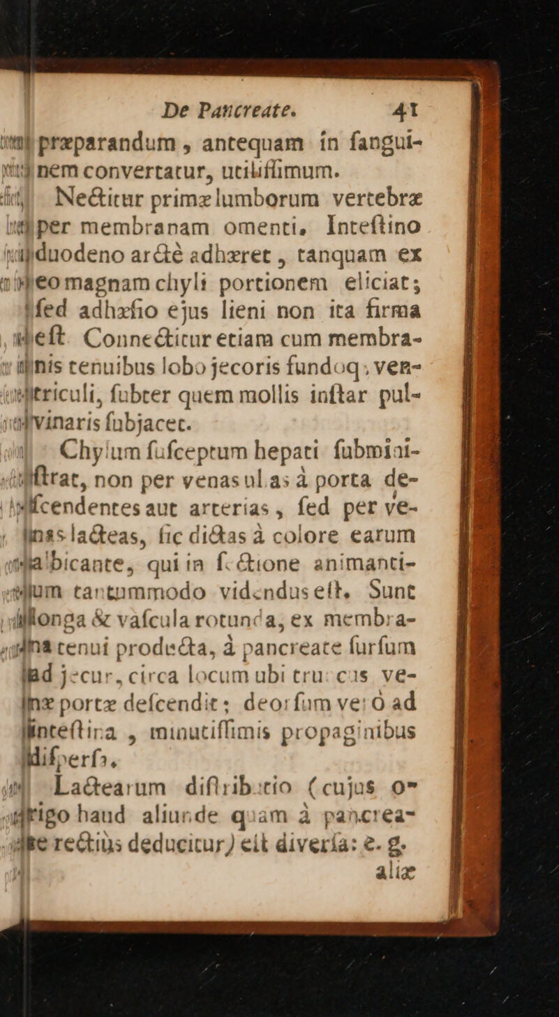 iH preparandum , antequam ín fangui- «tt nem convertatur, uciliffimum. dd. Ne&amp;itmr primzlumborum vertebrz per membranam omenti, Inteítino viiduodeno ar&amp;é adheret , tanquam ex 1?/4€o magnam chyl: portionem eliciat ; fed adhxfio ejus lieni non ita firma eft. Conne&amp;icur etiam cum membra- inis cenuibus lobo jecoris fundoq; ven- Mitriculi, fübter quem mollis inftar pul- ytfvinaris fnbjacec. Chyíum fuüfceptum hepati. fubmiai- «ulftrat, non per venasul.as à porta de- IMifcendentesaut arterias, fed per ve- Iin$sladteas, fic di&amp;as à colore earum wWlalbicante, qui ia f.&amp;ione animanti- Wjum tartnmmodo vidcndusett, Sunt dillonga &amp; vafcula rotunca, ex memb:a- 444 cenui prode cta, à pancreate furfum lBd j-cur, circa locum ubi tru: cas. ve- Inz portz defcendit; deo:fum ve: O ad linte(tira , minutiffimis propaginibus Mifo»erfs. MI La&amp;earum diflrib:cio (cujus. 07 «rigo haud altur.de quam à pancrea- dke rectius deducitur] eit divería: e. g. | alie