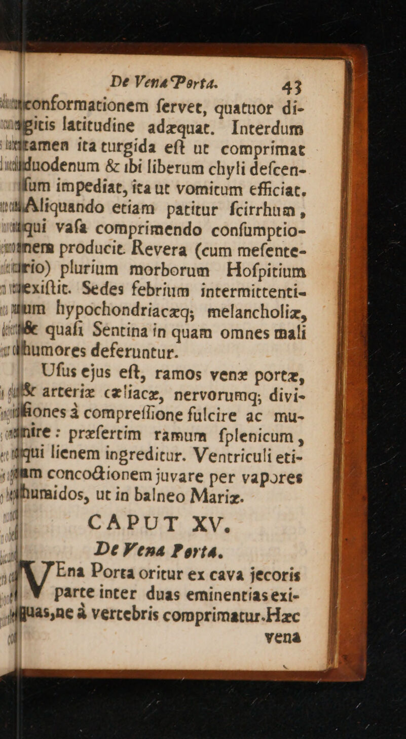 t'aficonformationem fervet, quatuor di- ugitis latitudine adzquat. Interdum uxamen itaturgida eft nt. comprimat iiidnodenum &amp; ibi liberum chyi defcen- Iífum impediat, ita ut vomitum efficiat. wa Aliquando etiam patitur fcirrhum , qui vafa comprimendo confumptio- ner producit. Revera (cum mefente- 'drio) pluritm morborum Hofpitium iexiftit. Sedes febrium intermittenti- ;Mum hypochondriaczq; melancholiz, iM quafi Sentina in quam omnes mali zühumores deferuntur. Ufus ejus eft, ramos venz portz, |AMf&amp; arteriz cliacz, nervorumq; divi- yilliones à compreflione fulcire ac mu- winire: prefertim ramum fplenicum , ,,Miqui lienem ingreditur. Ventriculi eti- jflga concodtionem juvare per vapores jWihumidos, ut in balneo Mariz. 1 CAPUT XV. De Vena Porta. Ena Porta oritur ex cava jecoris ! parte inter duas eminentias exi- ,Mijuas,ne à vertebris comprimatur.Hac Jl vena