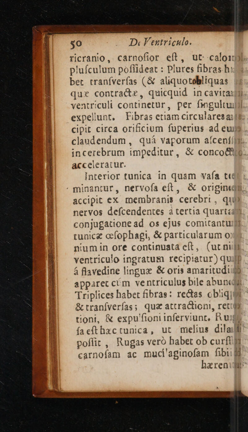 $0 D Ventriculo. ricranio, carnofior eft, ut calo]. plufculum poflideat : Plures fibras hi: bet traníverfas (&amp; aliquotobliquas que contracte, quicquid in caviraigi ventriculi continetur, per frgultui expeluunt, Fibras etiam circularesai] cipit circa orificium fuperius ad eui claudendum, quá vaporum aíceníí]y. incerebrum impeditur, &amp; concotfie. acceleratur. Interior tunica in quam vafa ttr; - minantur, nervoía eft, &amp; origini. accipit ex. membranis. cerebri , qui nervos defcendentes à tertia quartéall. conjugatione ad os ejus comitantuil tunica ocfophagi, &amp; particularum o niumin ore continuata eft, (ur nul ventriculo ingratum recipiatur) quip. 4 flavedine lingux &amp; oris amaritudo apparet cém ventriculus bile abuncdg 'Triplices habet fibras: rectas obiqi &amp; tranfverfas; qua attraction, recla tioni, &amp; expu'fioni inferviunt, Puoi faefthxctunica, ut melius dila poffit , Rugas vero habet ob curftg carnofam ac muci'aginofam fibi. harenuft^