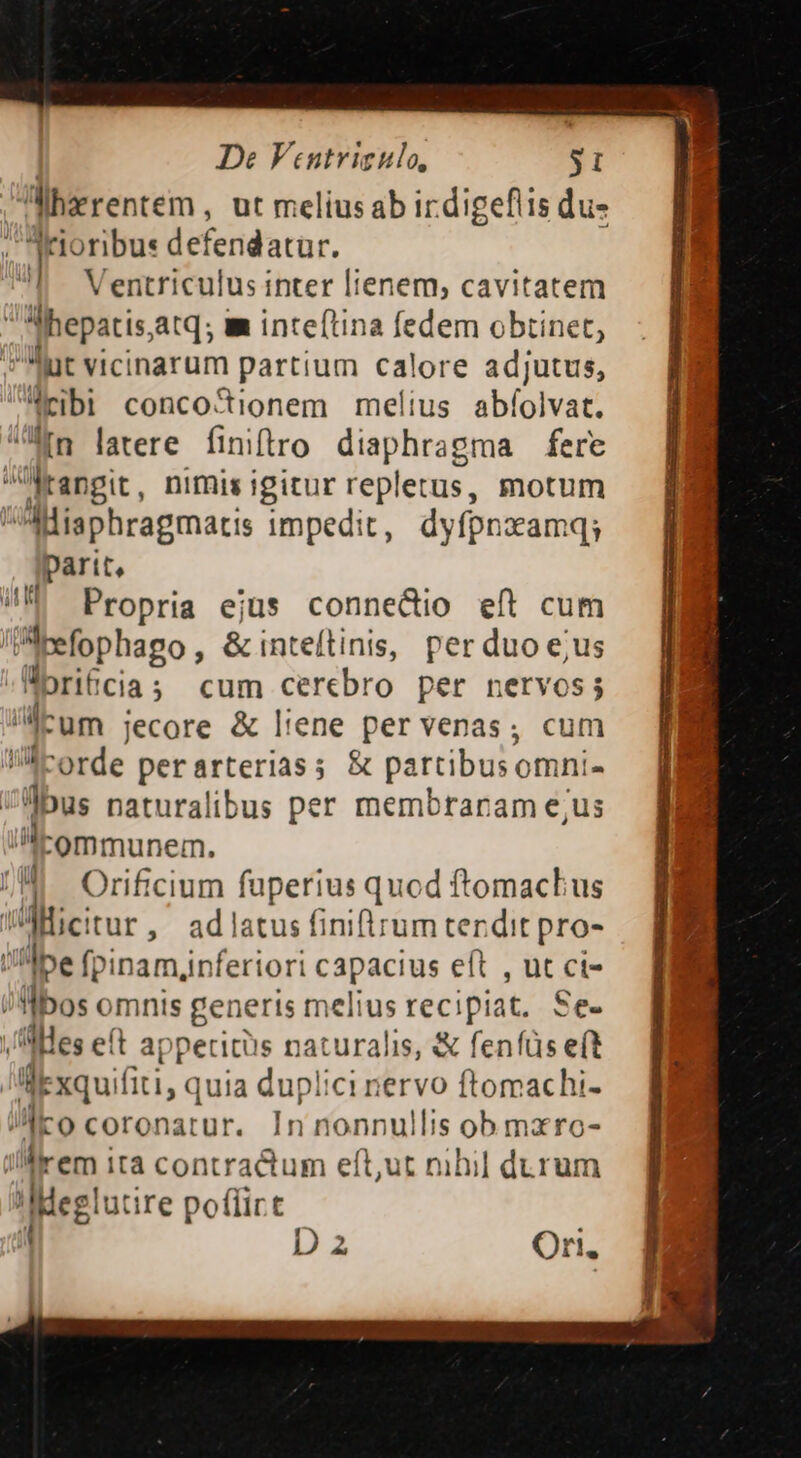 De Vintrigulo, $1 hzrentem , ut meliusab irdigeflis du- arioribus defendatur. !| Ventriculus inter [ienem, cavitatem  Mhepatis,atq; mm inteftina fedem obtinet, ^ut vicinarum partium calore adjutus, ribi concocionem melius abfolvat. (n latere finiftro diaphragma fere dtangi: nimis igitur repletus, motum Miaphragmatis impedit, dyfpnzxamq; parit, Propria ejus conne&amp;io eíl cum Piefophago , &amp; inteftinis, per duo e; us -Worificia ; cum cerebro per nervos i um jecore &amp; liene per venas ; M: corde perarteriass &amp; partibusomni- dbus naturalibus per membranam e;us licommunem. /M, Orificium f fuperius quod ftomacbus WABeitur, adlatus finit um tendit pro- Uibe fpinamjnferiori capacius el eft ,ucci- — PE ilbos omnis generis melius recipiat. Se- MEM /-Mdes eft appetitüs naturalis, &amp; fenfüs et ME Aexquif iti,« ]uia duplici nervo ftomachi- /Mico coronatur. In nonnullis ob mxro- Wrem ita contra&amp;um eft,ut nihi] durum Meglutire poflir t et ut Da Ori.