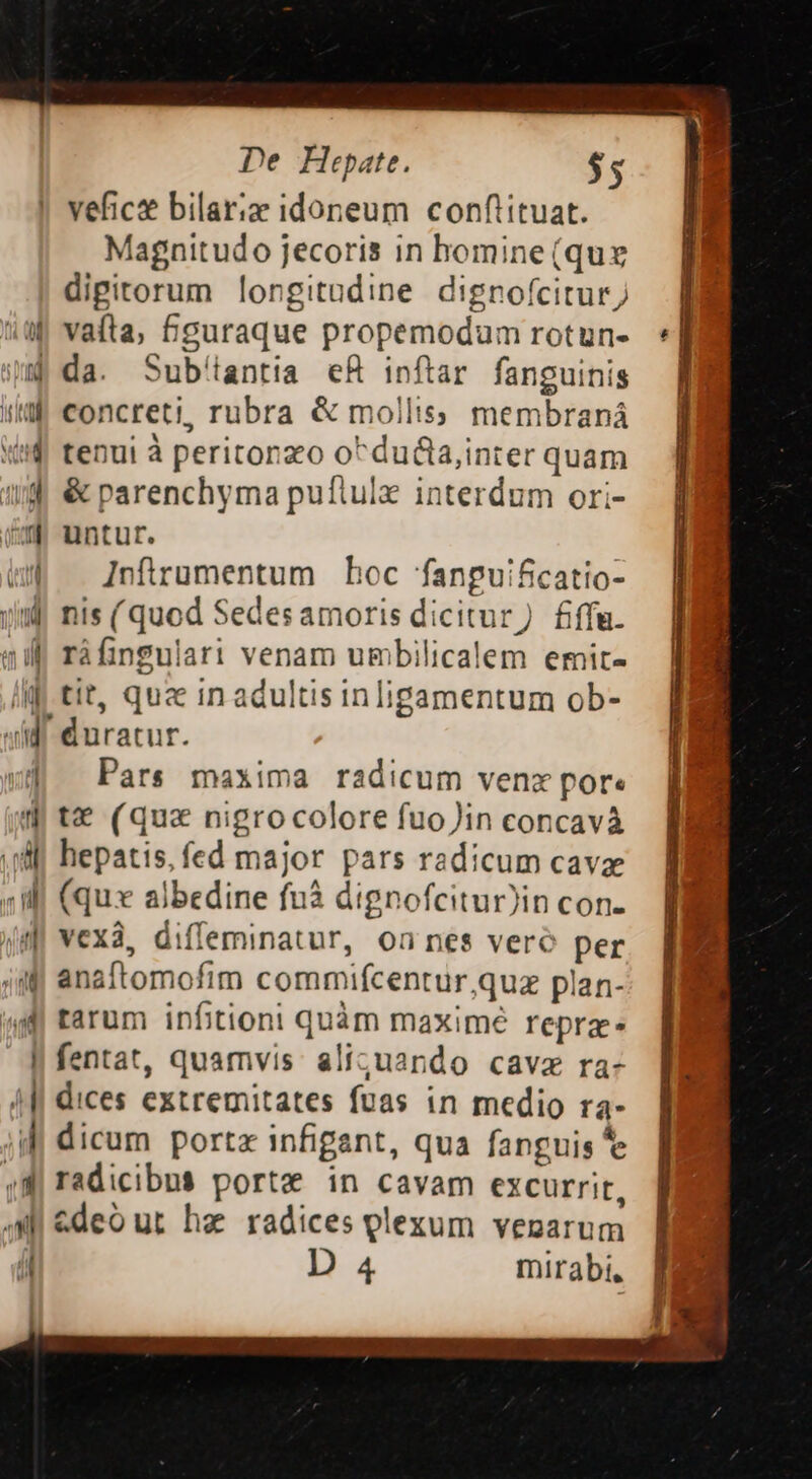 De Hepate. vefict bilariz idoneum conftituat. Magnitudo jecoris in homine(qux dipitorum longitudine digrofcitur) (8f vafta;, £guraque propemodum rotun- qm da. Sub'iantia eR inftar fanguinis i concreti, rubra &amp; molliss membraná X!€ tenui à periconzo o^dud&amp;a,inter quam 4f] &amp; parenchyma puíftule interdum ori- £m untur. WW . Znfirumentum hoc fanguificatio- ym nis (quod Sedesamoris dicitur) £fffu. ;ilf ráfingulari venam umbilicalem emit- if tit, quee in adultis inligamentum ob- «ifl duratur. ud Pars maxima radicum venz pore 4 t€ (qua nigrocolore fuoJin concavà M hepatis, fed major pars radicum cave 4 Ill (qux albedine fuà dignofcitur)in con. WM vexà, diffeminatur, on nes veró per ;a8 anaftomofim commifcentur,quz plan- ag tarum infitioni quàm maximé repra- || fentat, quamvis: alizuando cava ra- AW dices extremitates fuas in medio ra- || dicum porta infigant, qua fanguis *e qf radicibus porte in cavam excurrit, Mi &amp;deour ha radices plexum venarum i D 4 mirabi, | 35 M