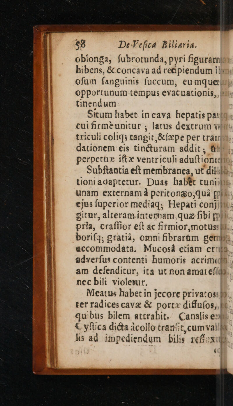 $3 De-Vefica. Biliaria. oblonga, fubrotunda Pyri figuram? hibens, &amp; concava ad re&amp;piendum i is ofum fanguinis fuccum, eumque opportunum tempus evacuationis,. tinendum Situm habet in cava hepatis pa: cui firméunitur , latus dextrum vi trículi coliq; tangit, &amp;ízpe per trai dationem eis tin&amp;cturam addit , fti perpetüs ift ventriculi aduftiondd Subftantia eft membranea, ut dili tioniadaptetur. Duas habet cuni. unam externam à peritongo,quá [pii ejus fuperior mediaq; Hepati conj ji: gitur, alteram.interpam.quz fibi pi. prla, crafiior eft ac firmior,motus: I... borifq; gratià, omnifibrarüm gero» accommodata. Mucosá etiam cro adverfus contenti humoris acrim«fa. am defenditur, ita ut non amarefídg... nec bili violesur. Meatus habet in jecore privatos:| ter radicescavz &amp; port« diffufos;.] quibus bilem attrahit. Canalis e: M € yflica dicta dcollo trant cum vali » hs ad impediendum bilis Icfoxu ( LS -
