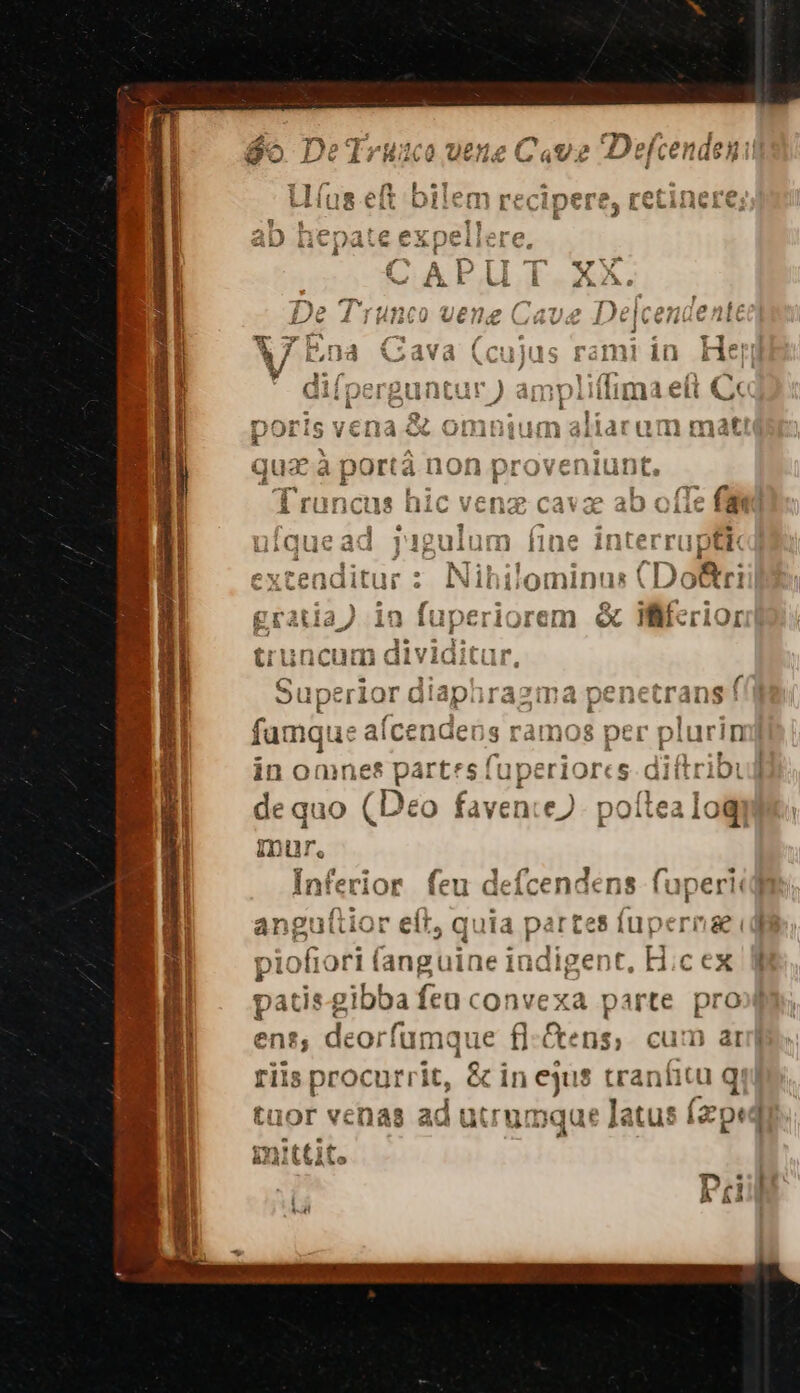 /B whál 8 iur ert  ; a &amp;- ^ uq 161 tin ejus tranfi c 4 H pt f ie o [ atus nque] ?r' u g*üt-rn i à BAS —