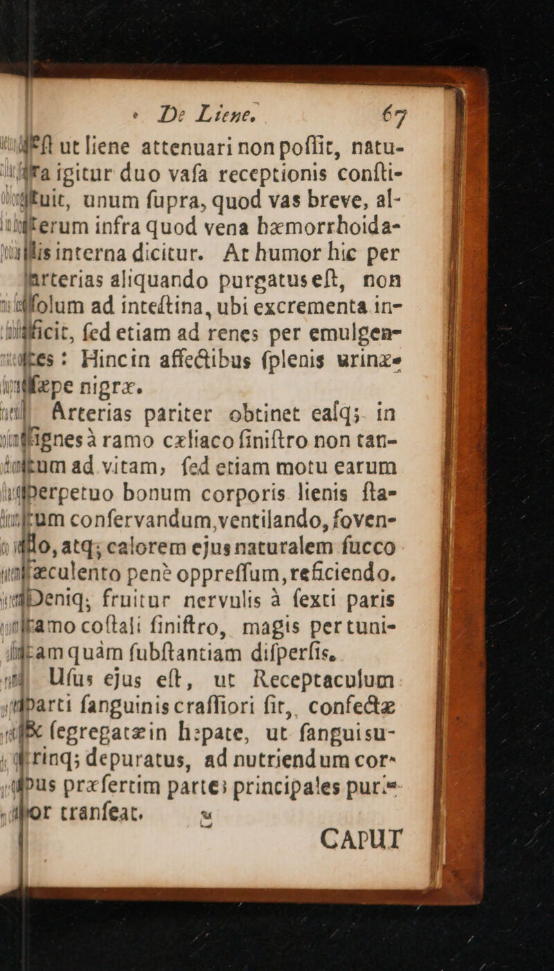 ; A ut[iene attenuari non poffit, natu- illa igitur duo vafa receptionis confti- iffuit, unum fupra, quod vas breve, al- iKerum infra quod vena bamorrhoida- villis interna dicitur. Ar humor hic per arterias aliquando purgatuseft, non dolum ad inteftina, ubi excrementa 1n- sWfücit, fed etiam ad fenes per emulgen- Res: Hincin affe&amp;ibus (plenis wrinxe vilepe nigrx. ii Arterias pariter obtinet ealq;. in a Hgnesà ramo czliaco finiftro non tan- tum ad vitam, fed etiam motu earum itlberpetuo bonum corporis ltenis fla- Kum confervandum,ventilando, foven- ; Ao atq; calorem ejus naturalem fucco sf'eculento pen? oppreffum, reficiendo. iilenia. fruitur nervnlis à fexti paris itikamo coftali finiro, magis pertuni- ijtam quàm fubftantiam difperfis, 4. Ufus ejus eft, ut. Receptaculum aparti fanguinis craffiori fir,, confe 4f (egrepatzin lizpate, ut. fanguisu- ; irinq; depuratus, ad nutriendum cor^ ifpus prafertim patte; principales pur.* «(ll lor cranfeat. u CAPUT