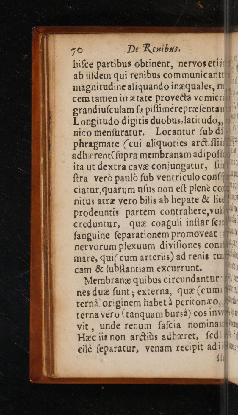 , —— — , : ; 3e dw , , x t t L , . -—- Enni niue ^ ' vade ^ m. ; : 3 M. ] emen K ^w TE Y pe. z CUPS. 73 1 a ucc 2 a ^ ^   M 7 - a I. 5   Ls TUTULT vue -  E AT Wn per MER UP Le Ours a Mf; t a ea E: - : TE  LN y iu A : á 4 -—- d cwn 2H S E: ^ | Me aneie RET CUN SM insani RI, C c nta ó —  ameti uer dede M—— hifce partibus obtinent, nervosetiidl ab iifdem qui renibus communicantti magnitudine aliquando inzquales, rrj cem tamen in «tate provecta vomica grandiufculam fs pifliméreprafentaum Longitudo digitis duobus.latitudo,, 9 nico menfüratur. Locantur fub dir * phragmate (cui aliquoties arctiflige  adhxrent(fupra membranam adipofíug itautdextracave conjungatut, fr^ fira vero pauló fub ventriculo conf ciatur,quarum ufus non eft plene cag ^ nitus atrz vero bilis ab hepate &amp; li«df prodeuntis partém contrahere,vuill * creduntur, quz coaguli inflar fer^ fanguine feparationem promoveat : 3r* nervorum plexuum divifiones coniff! mare, qui( cum arteriis) ad renis curi cam &amp; fubftanriam excurrunt, | Membranz quibus circundantut: fii nes duz funt; externa, qua (cumin ternáà originem habetà peritona o, fft: terna vero (tanquam bursá) eos inwff ii vit, unde renum fafcia nominati: Hxc iis non ar&amp;tis adbxret, fedi: eilé feparatur, venam recipit adiu L | [| '